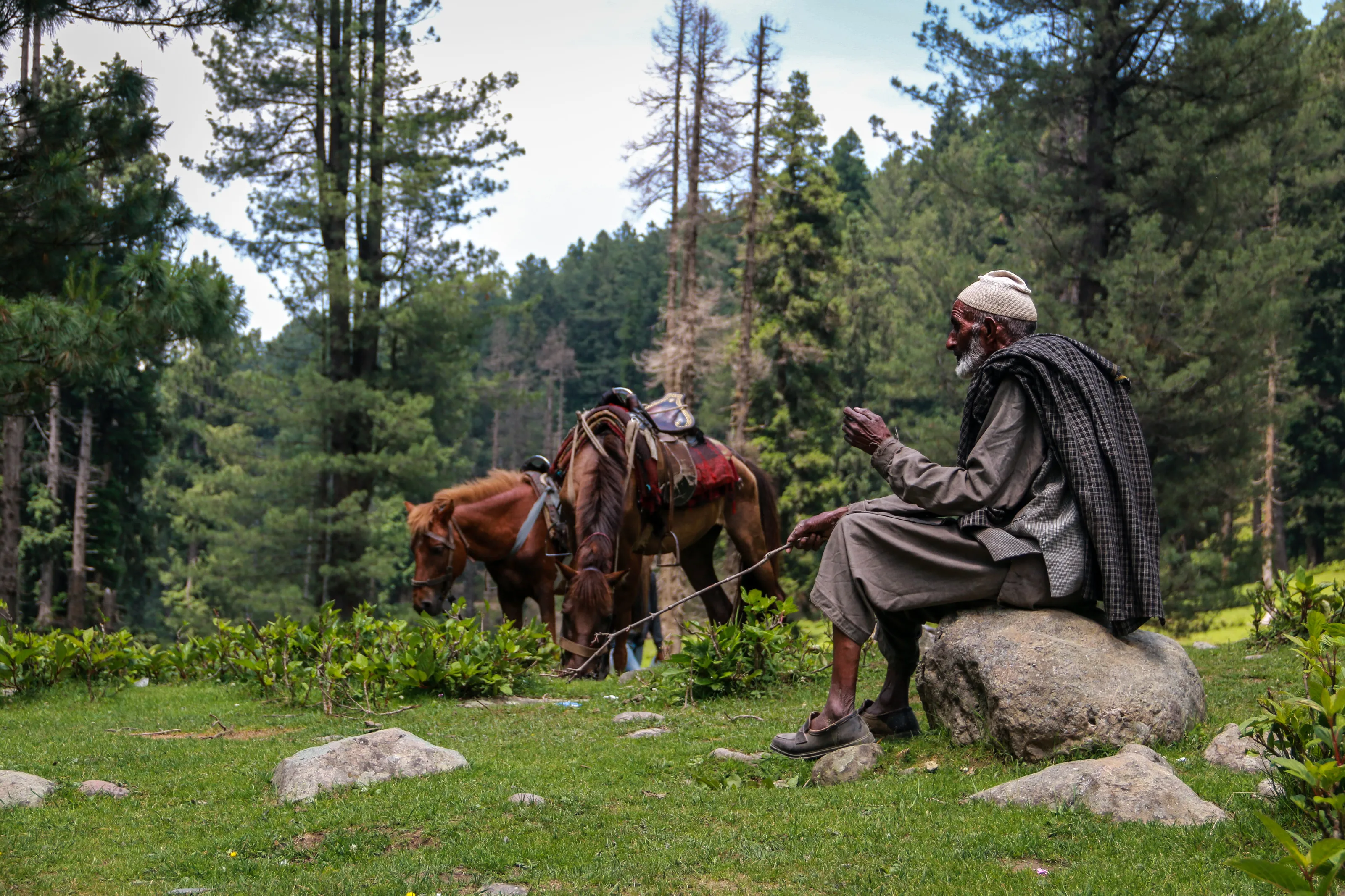 the Shepherd