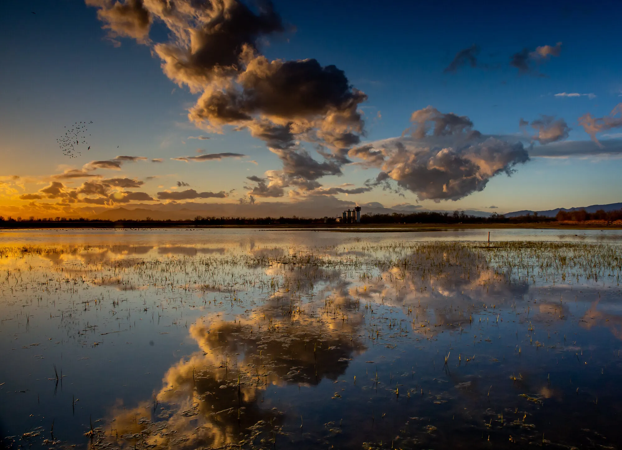 Reflections