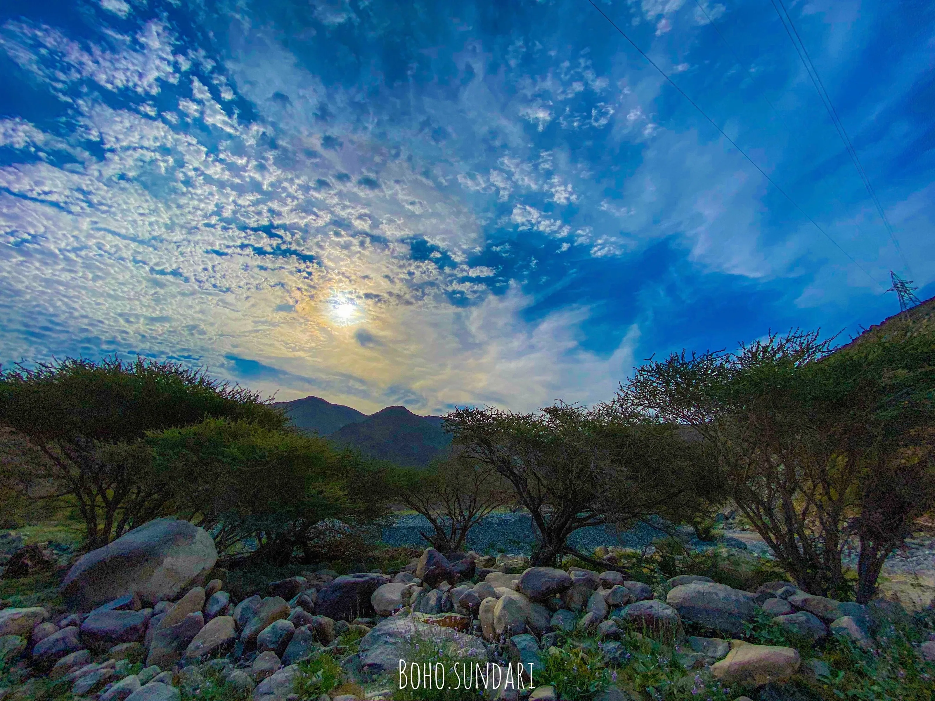 Wilderness