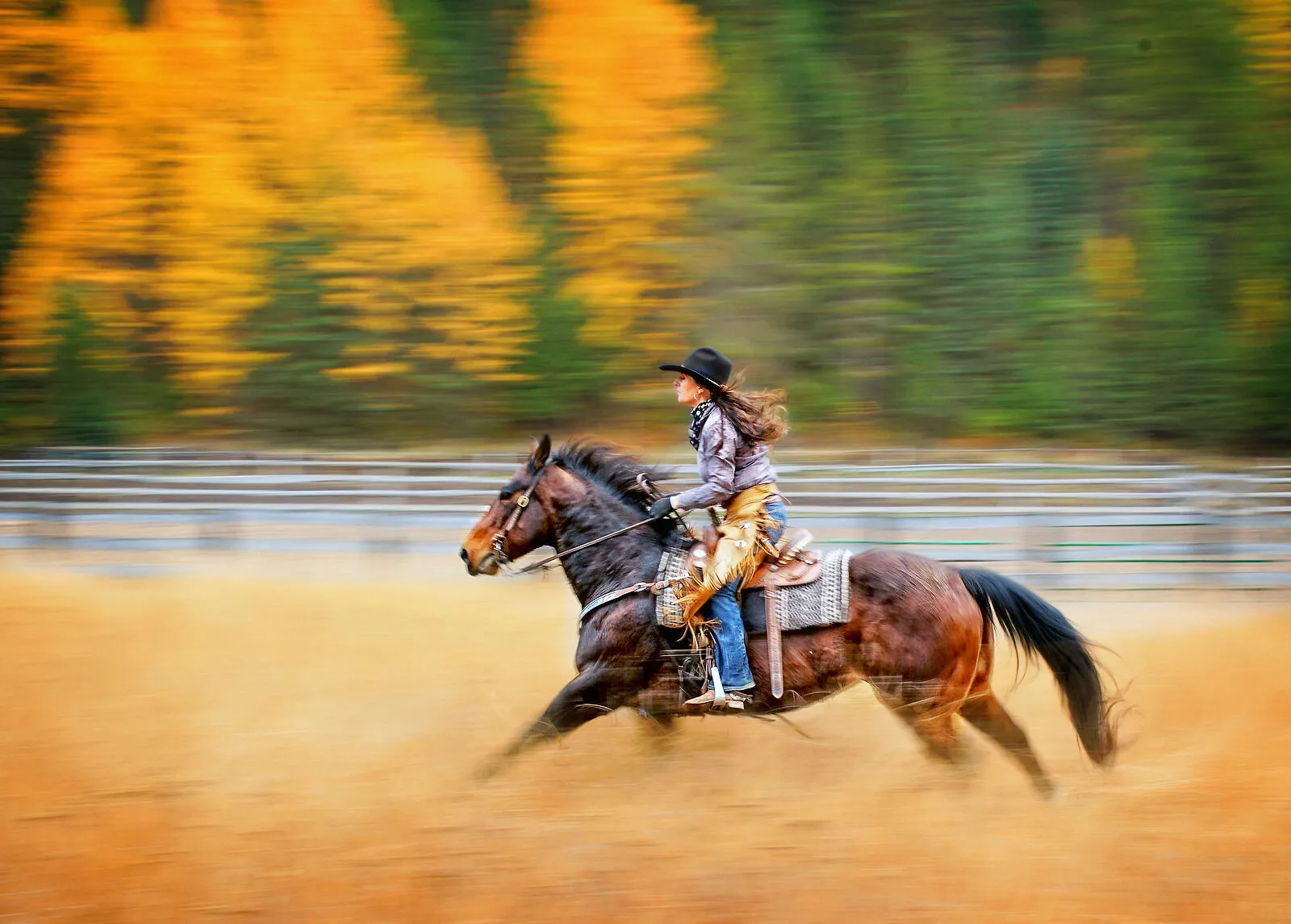 A Joyful Ride