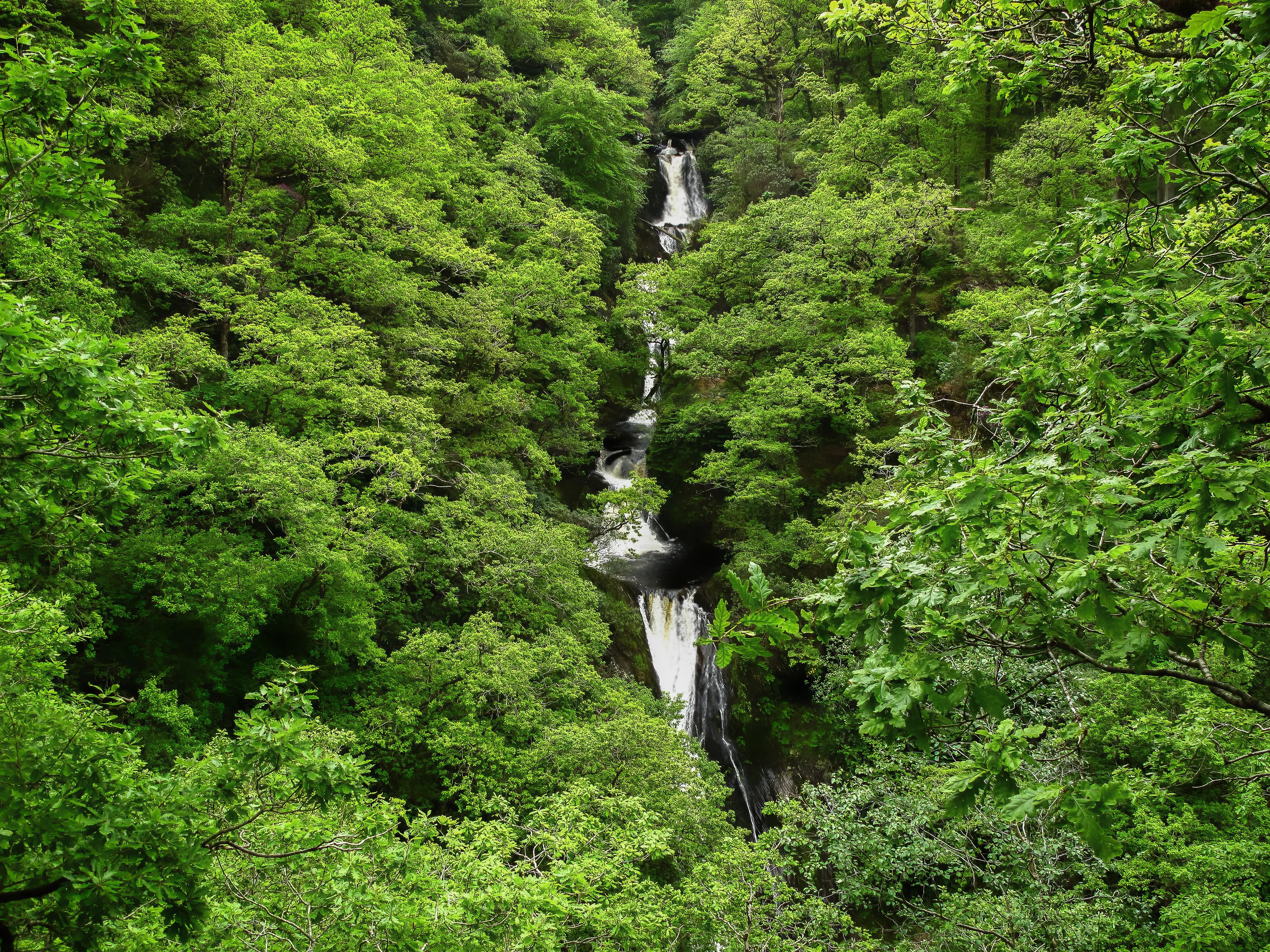 Pure nature.