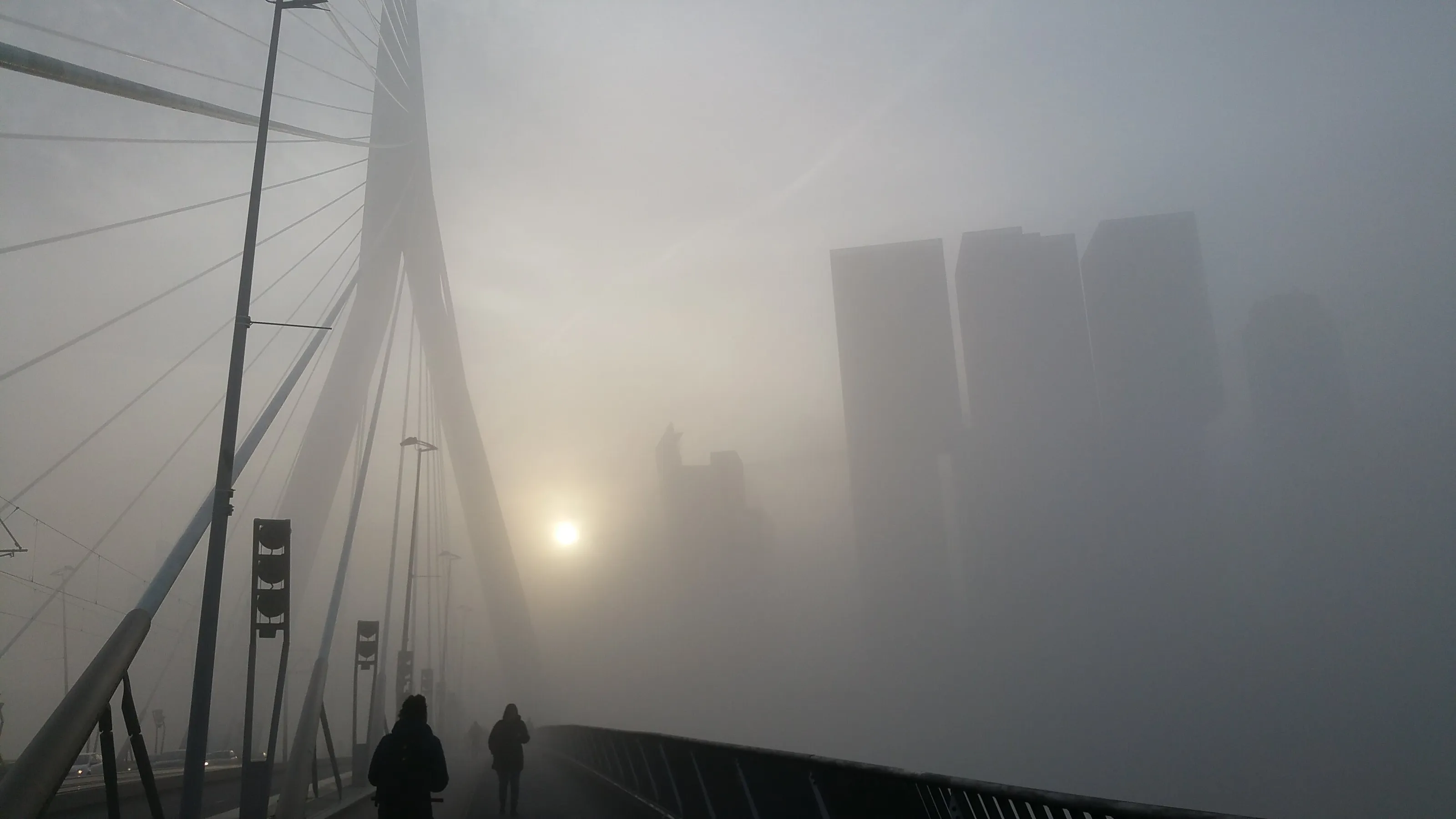 November mist