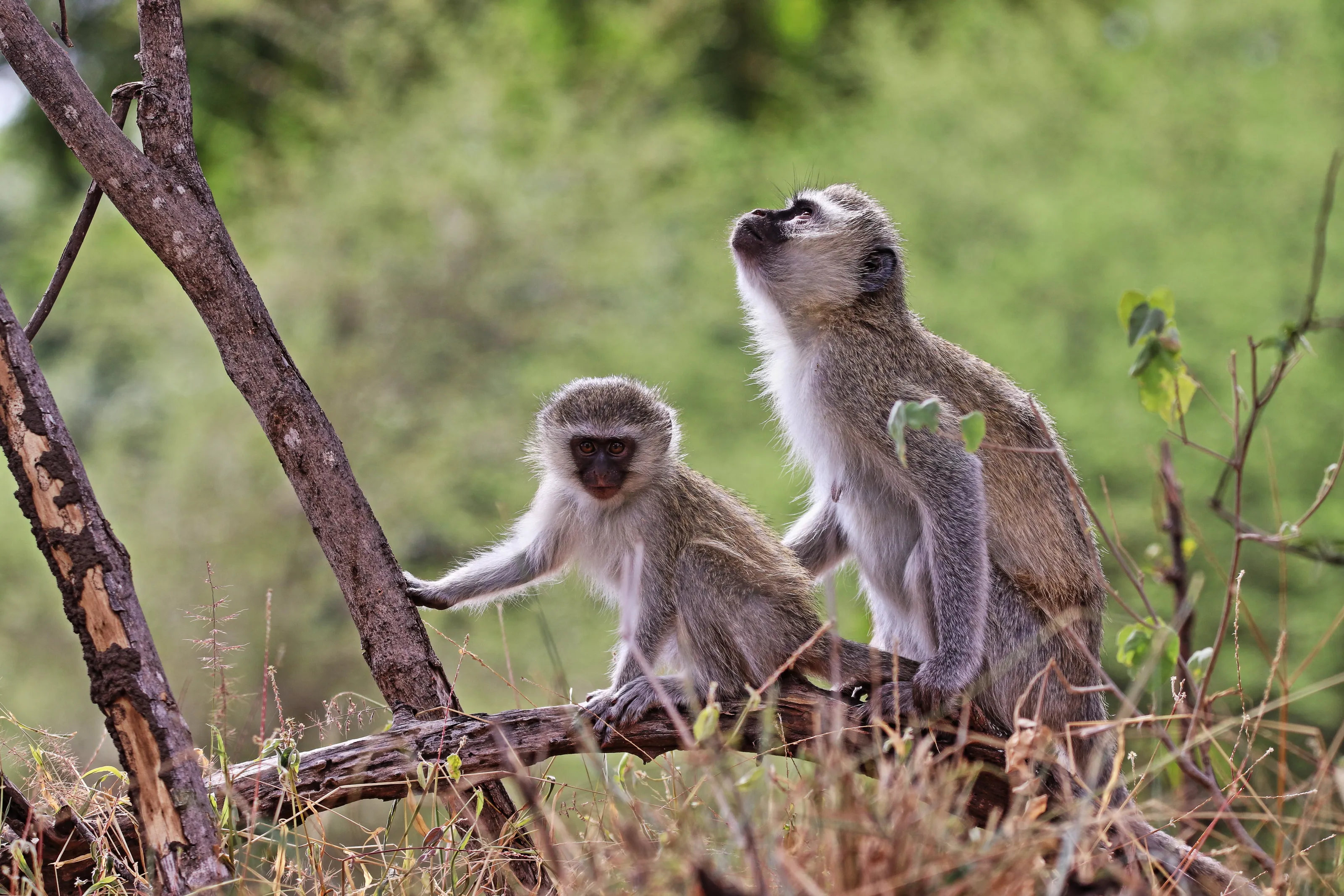 Mother and child