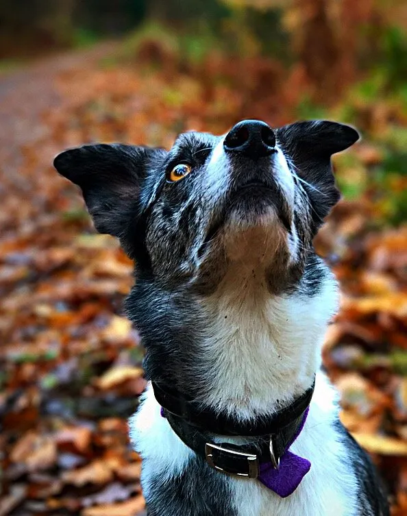 Winter walk