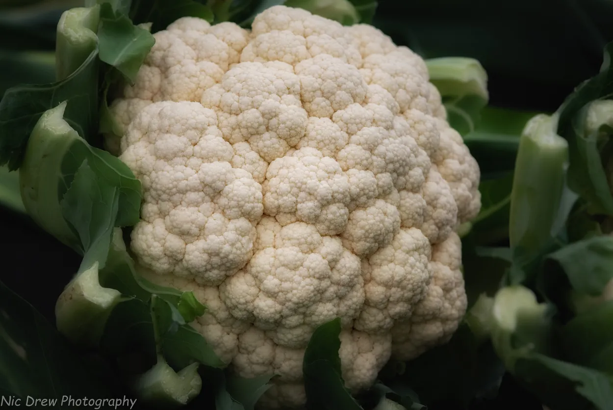 Entry 6031111