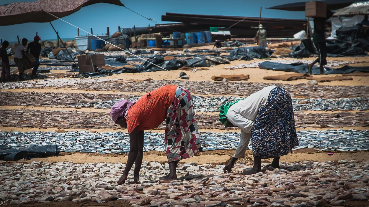 Entry 5958118