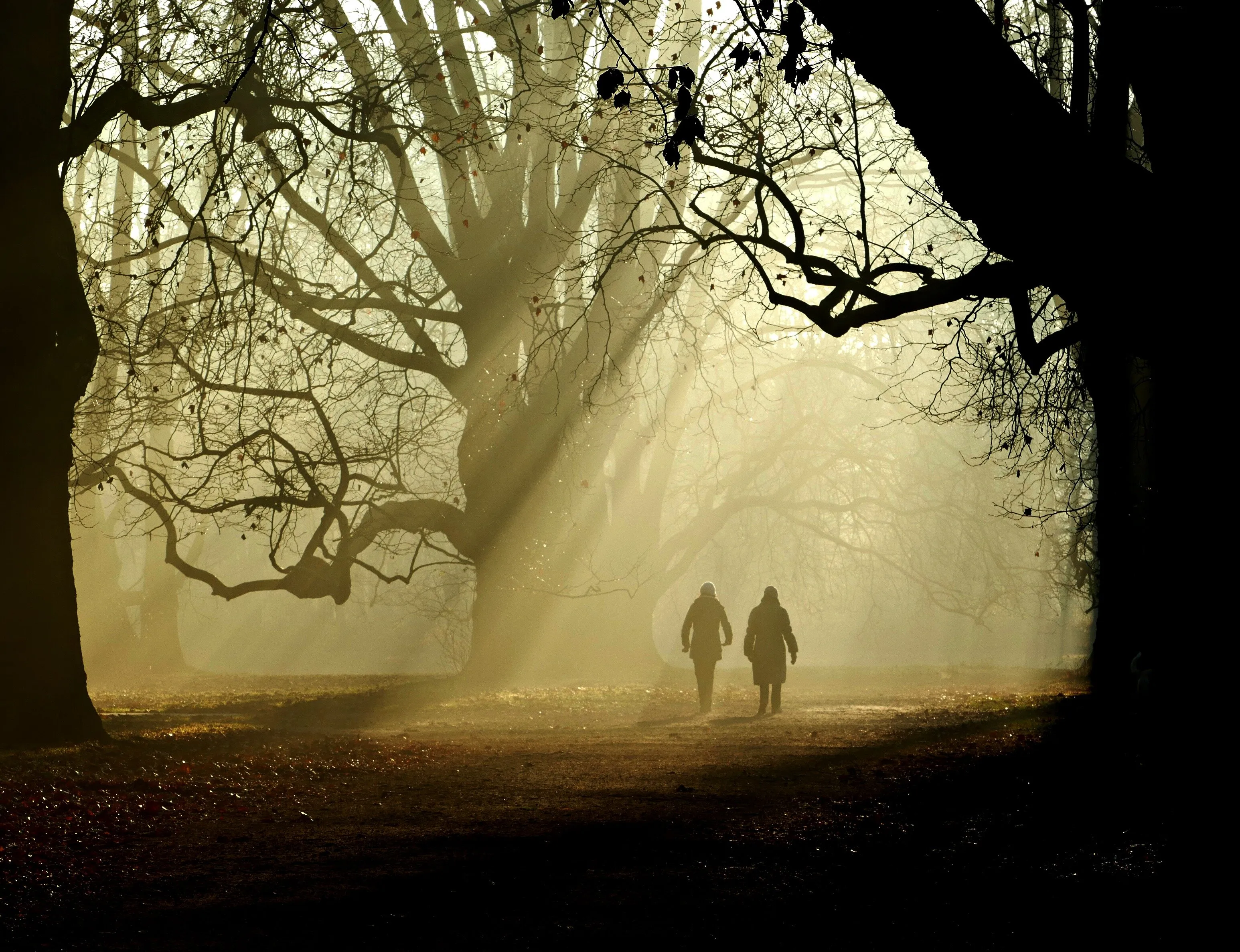 A walk in the park/Nick Straker Band