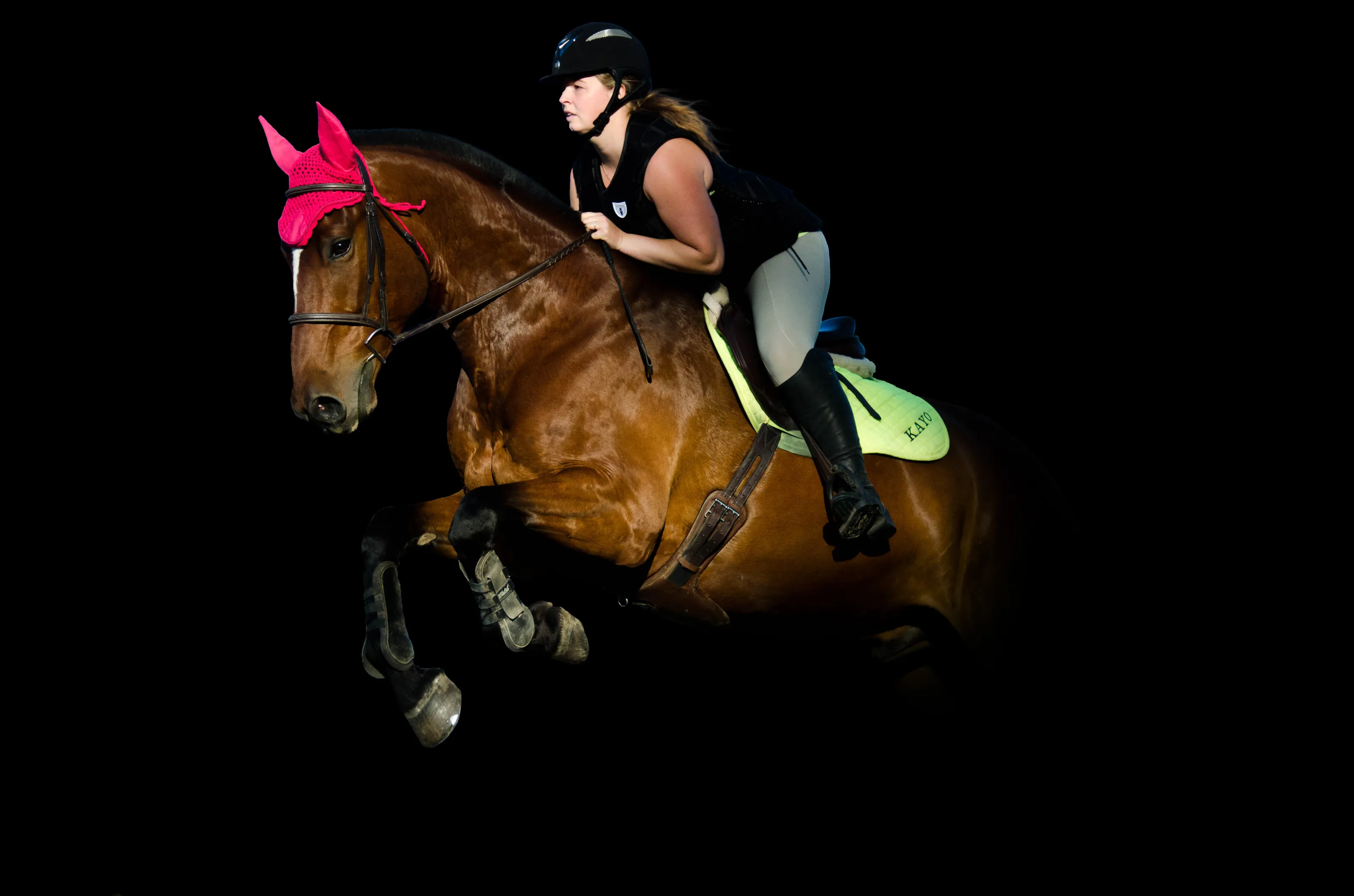 equine life