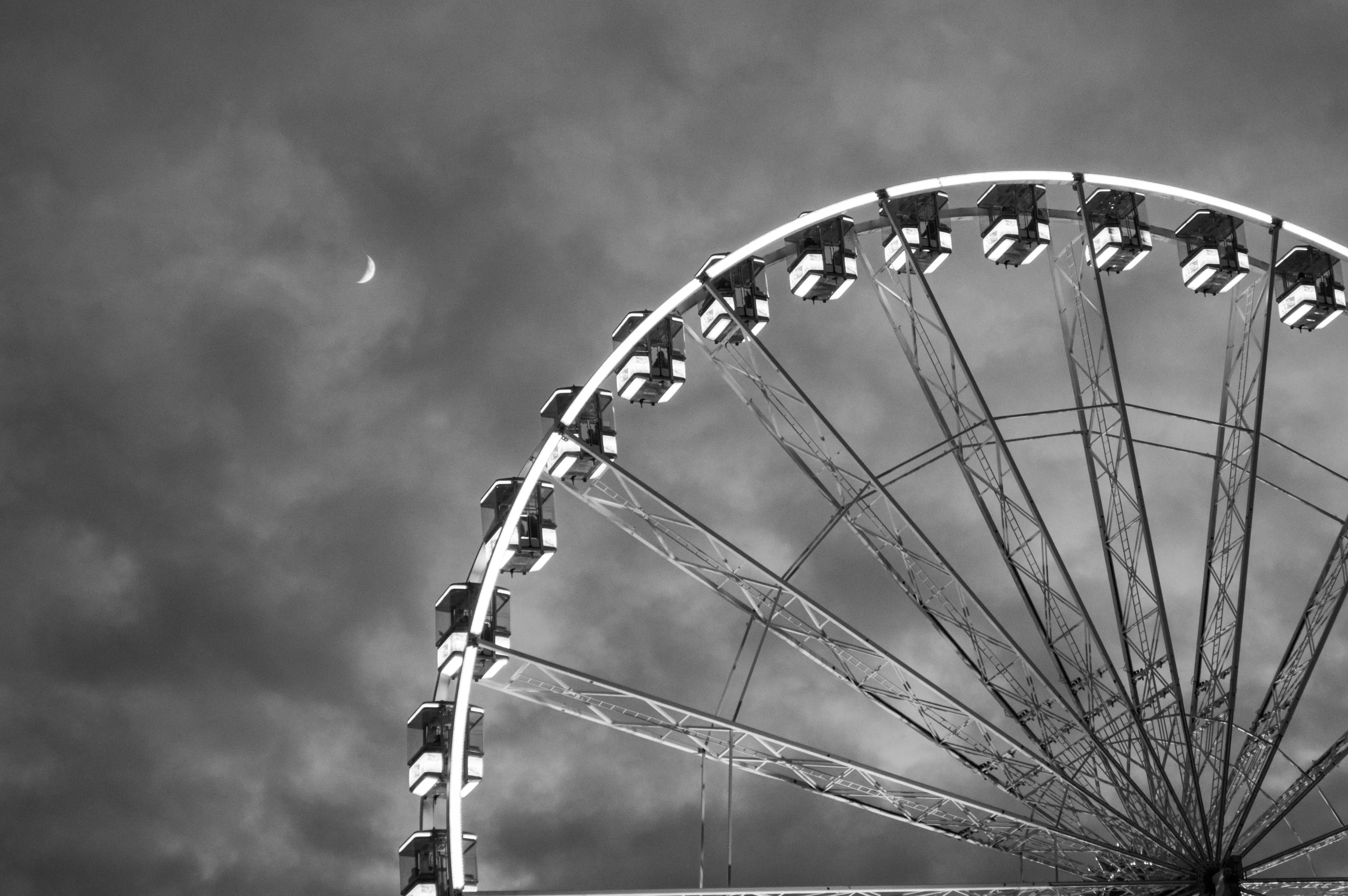 Wonderland Wheel
