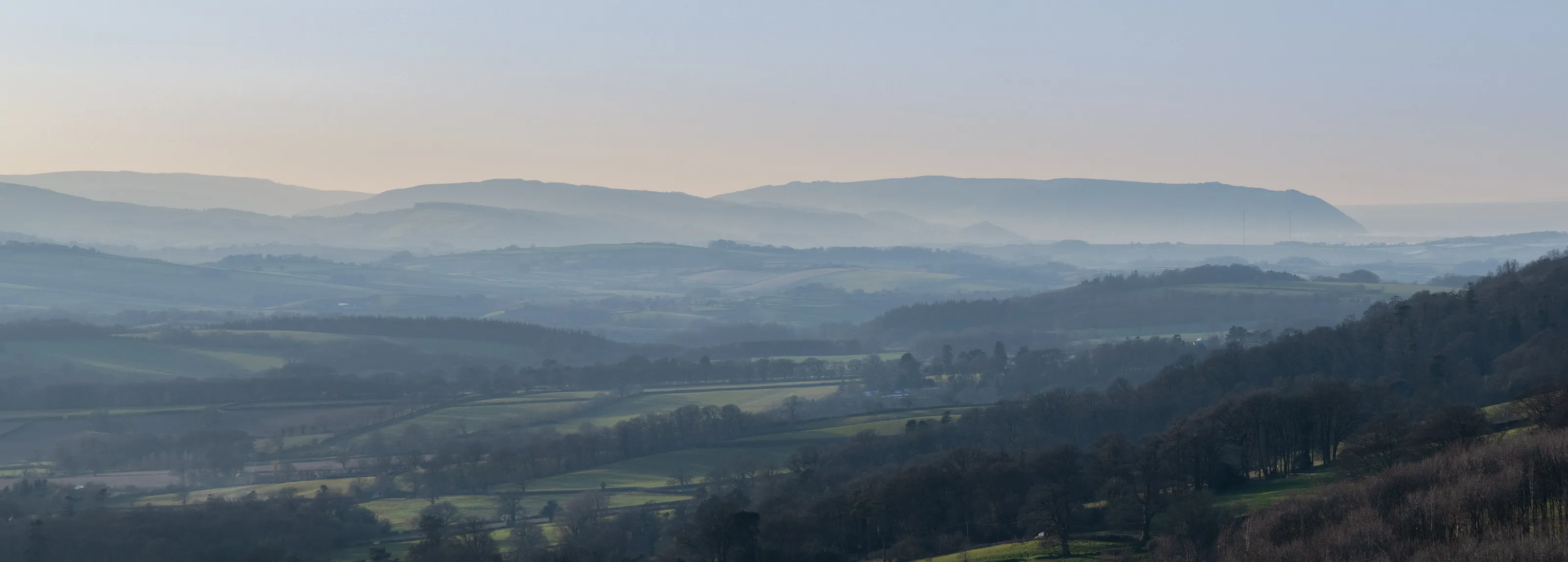 Somerset Mist