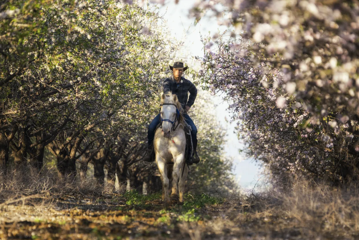Entry 5980396