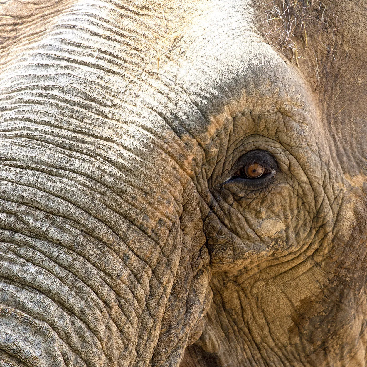 Entry 8820168