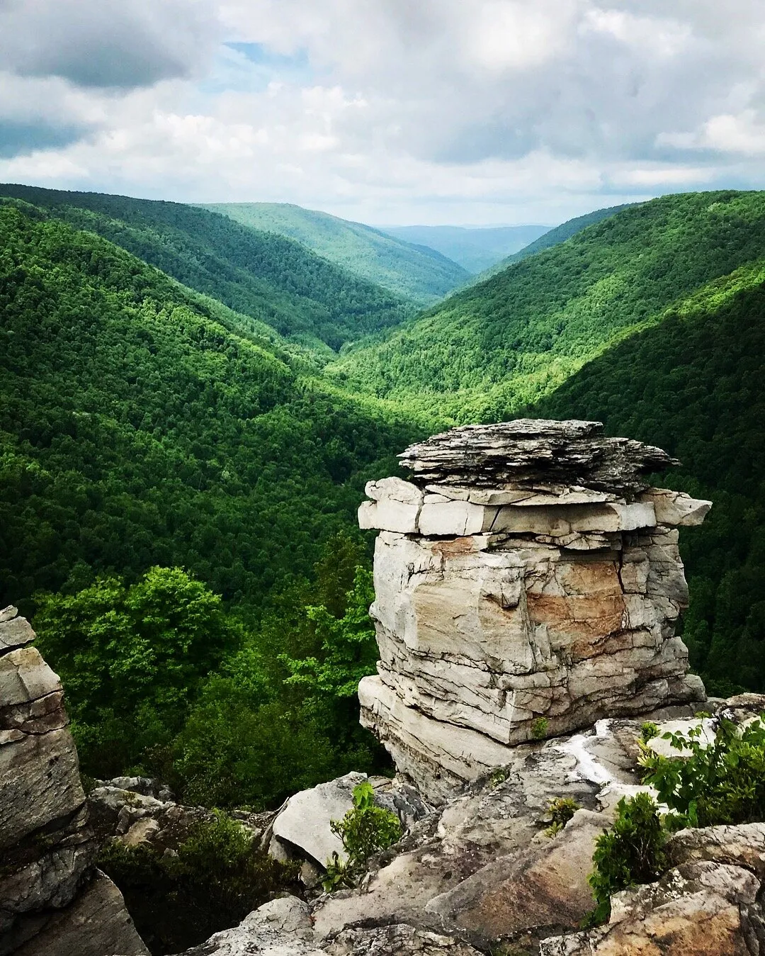Lindy Point