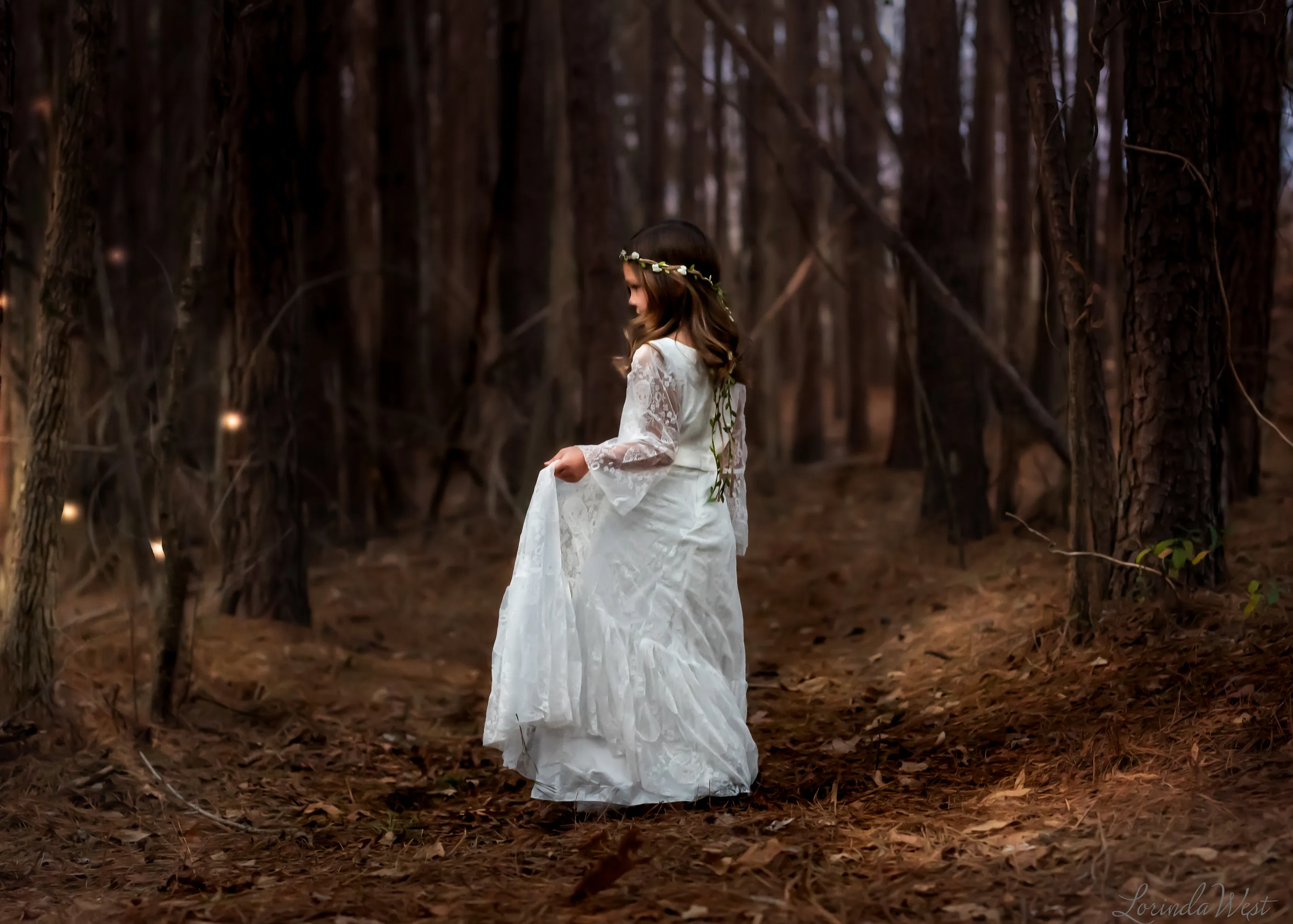 Magical Forest