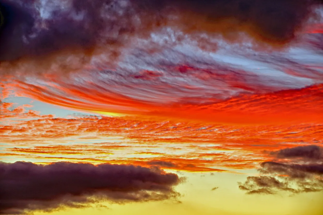 Entry 24848258