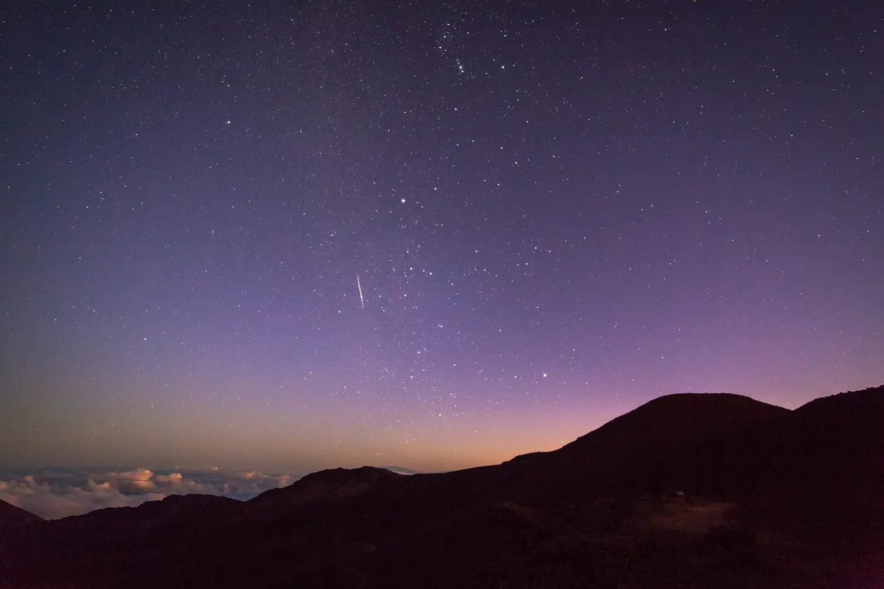 Entry 5991158