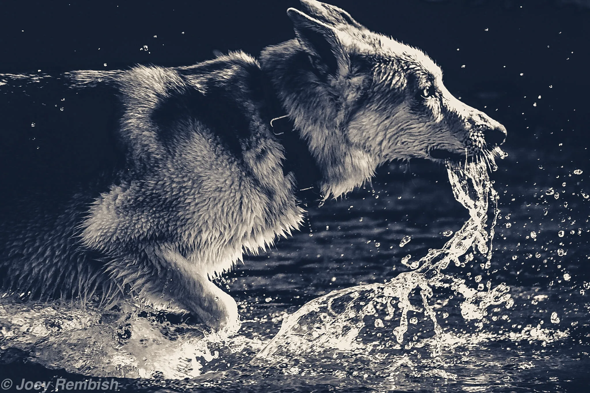Playing in the creek
