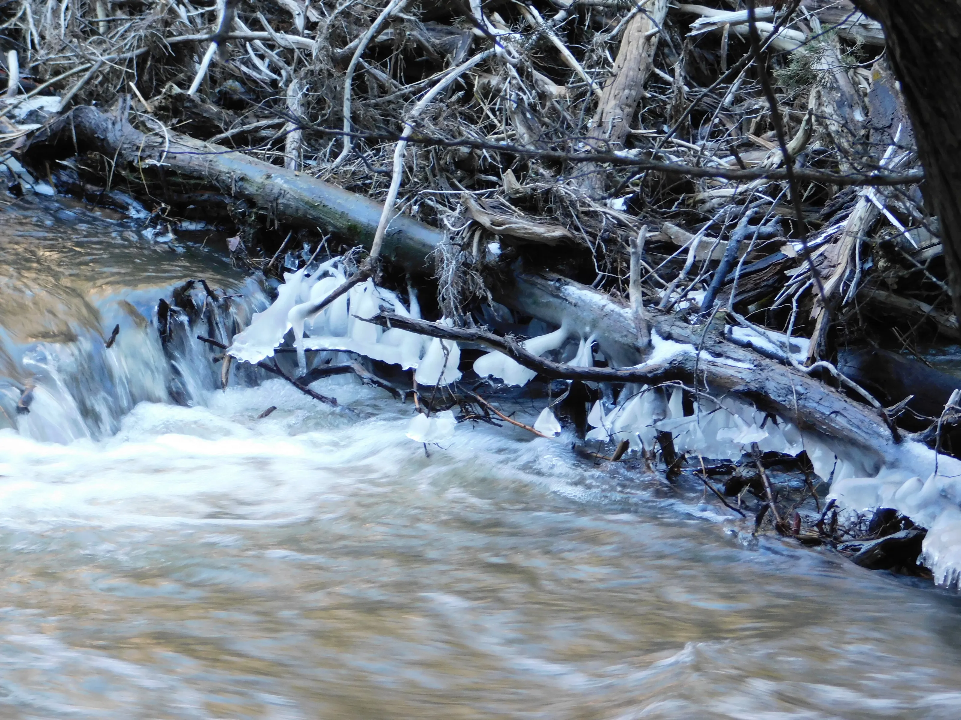 Icy Creek 2