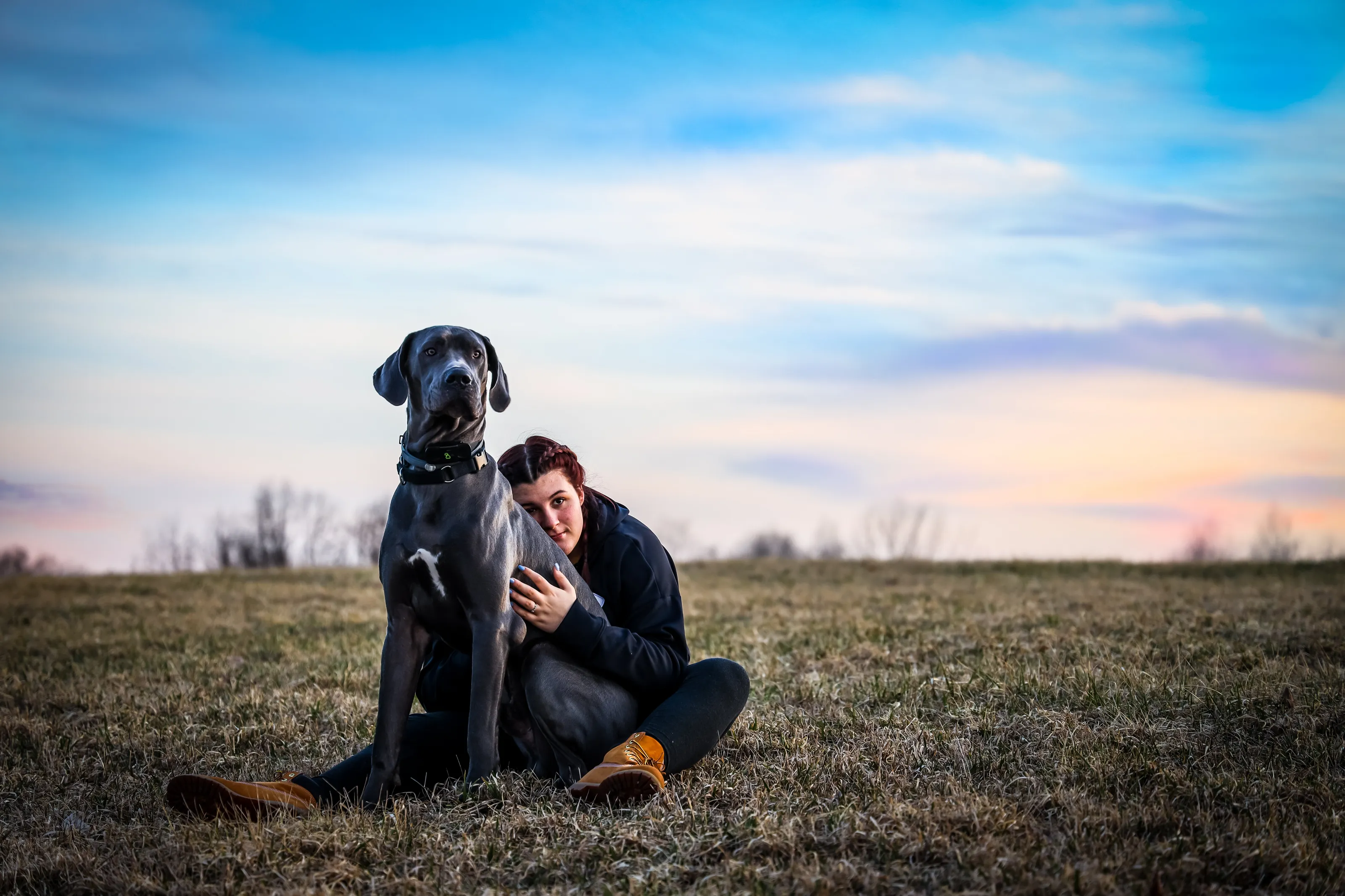 Girl's best friend