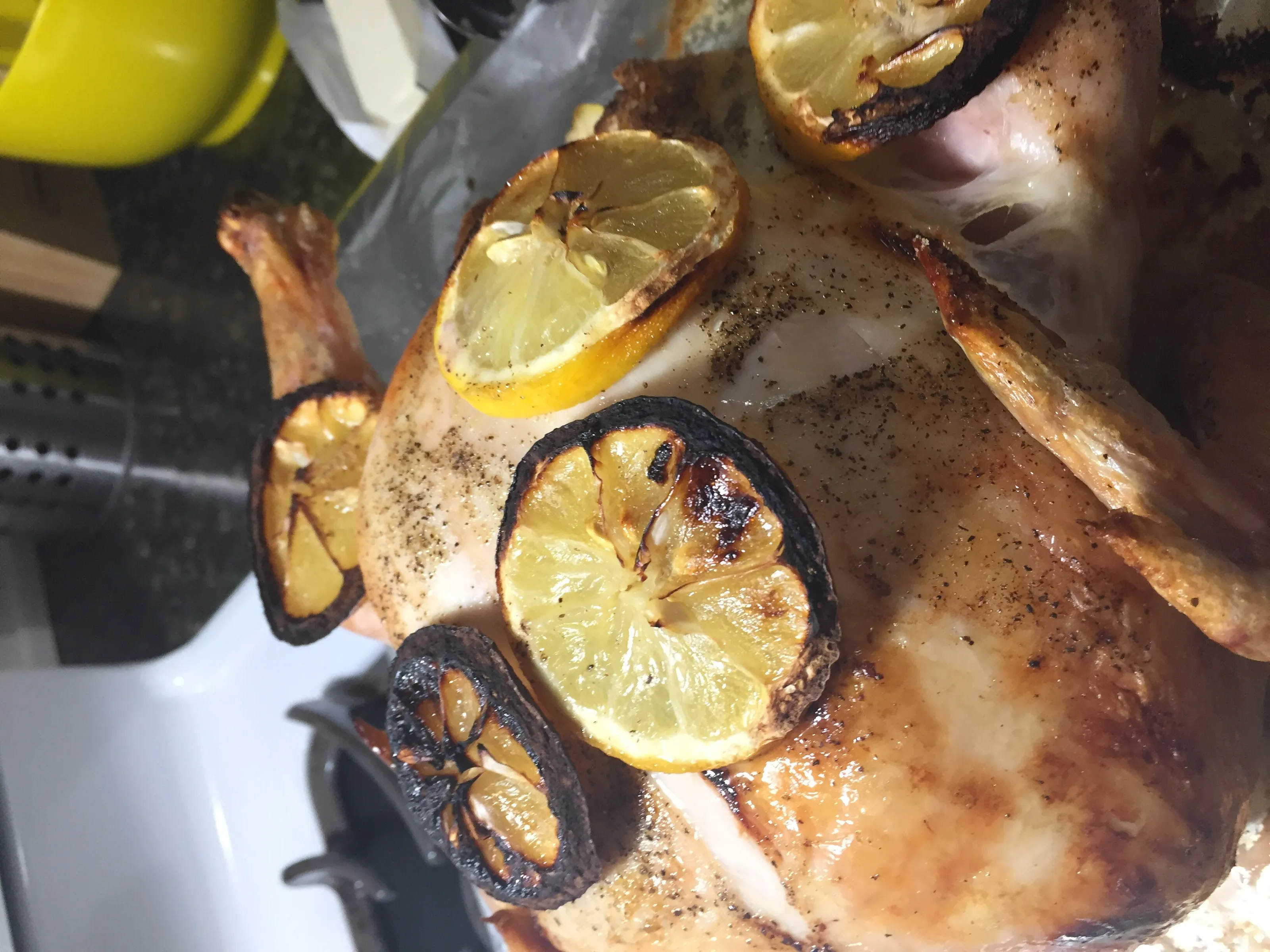 chicken in the HOUSE