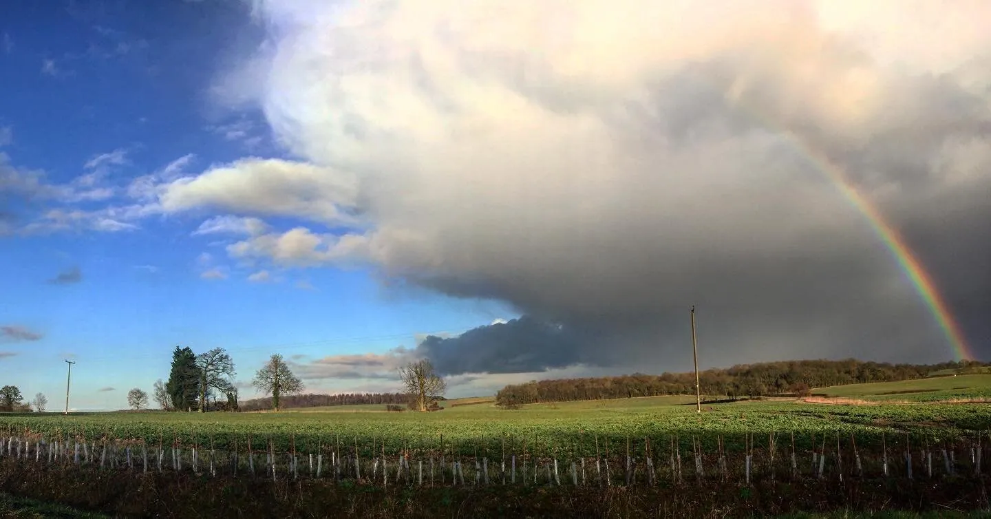 Storm Ciara