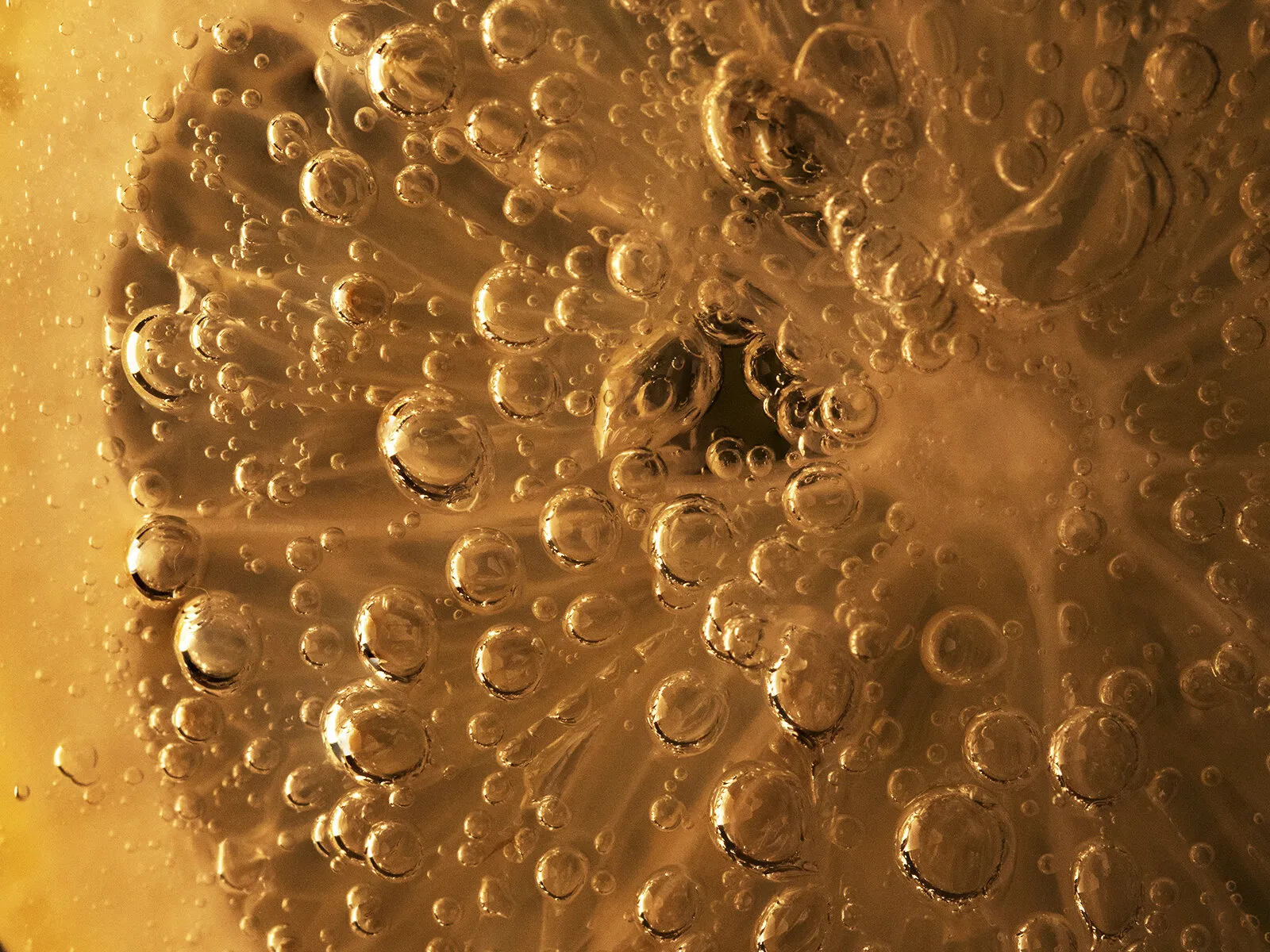 Lemon Slice
