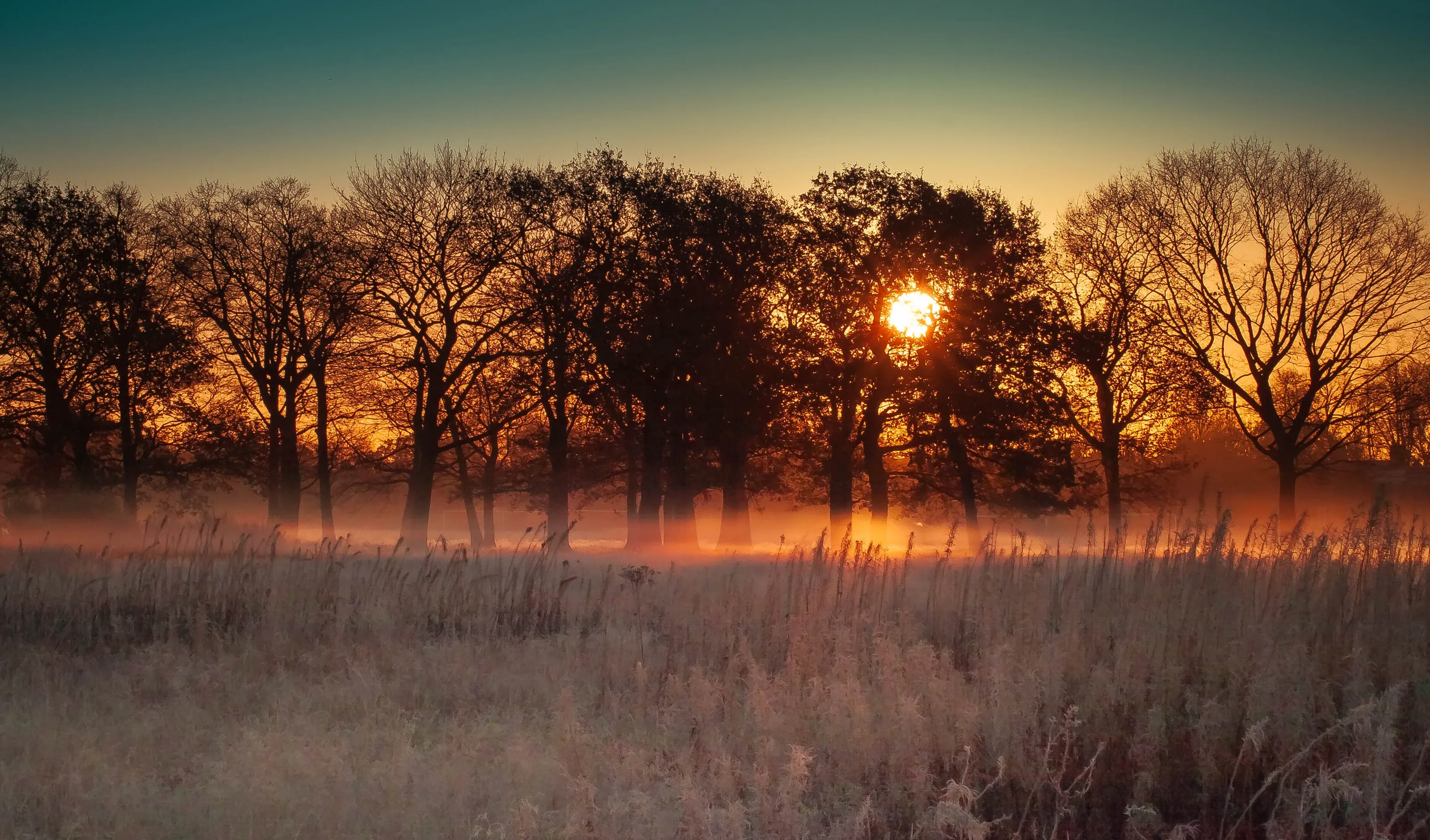 Frosty Sunrise