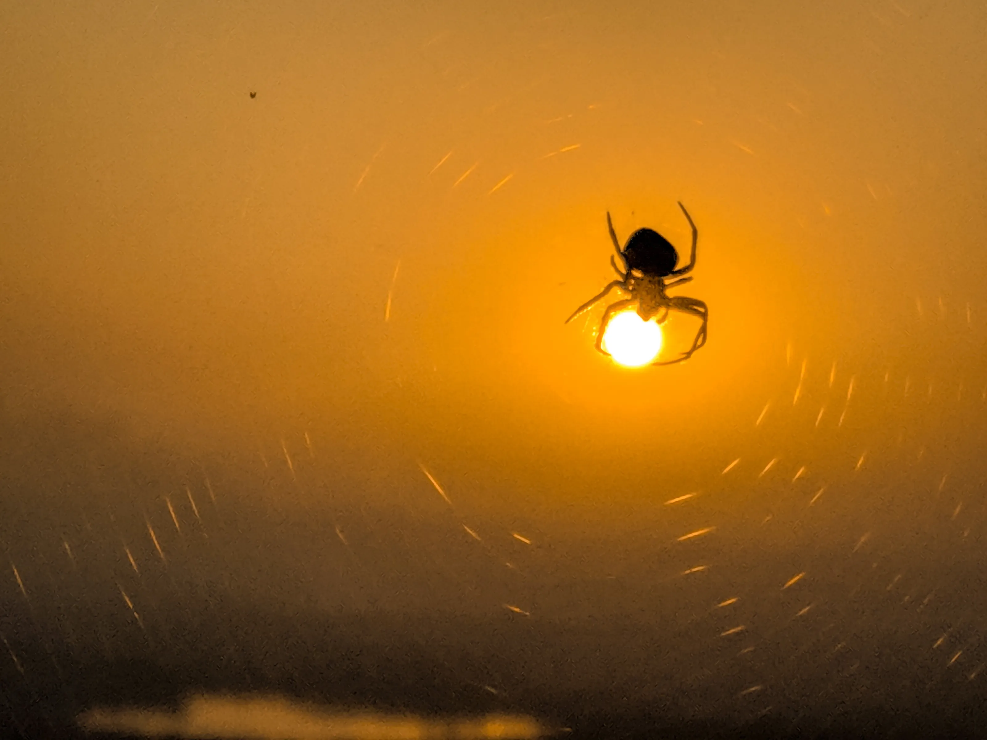 Hunting the Sun!