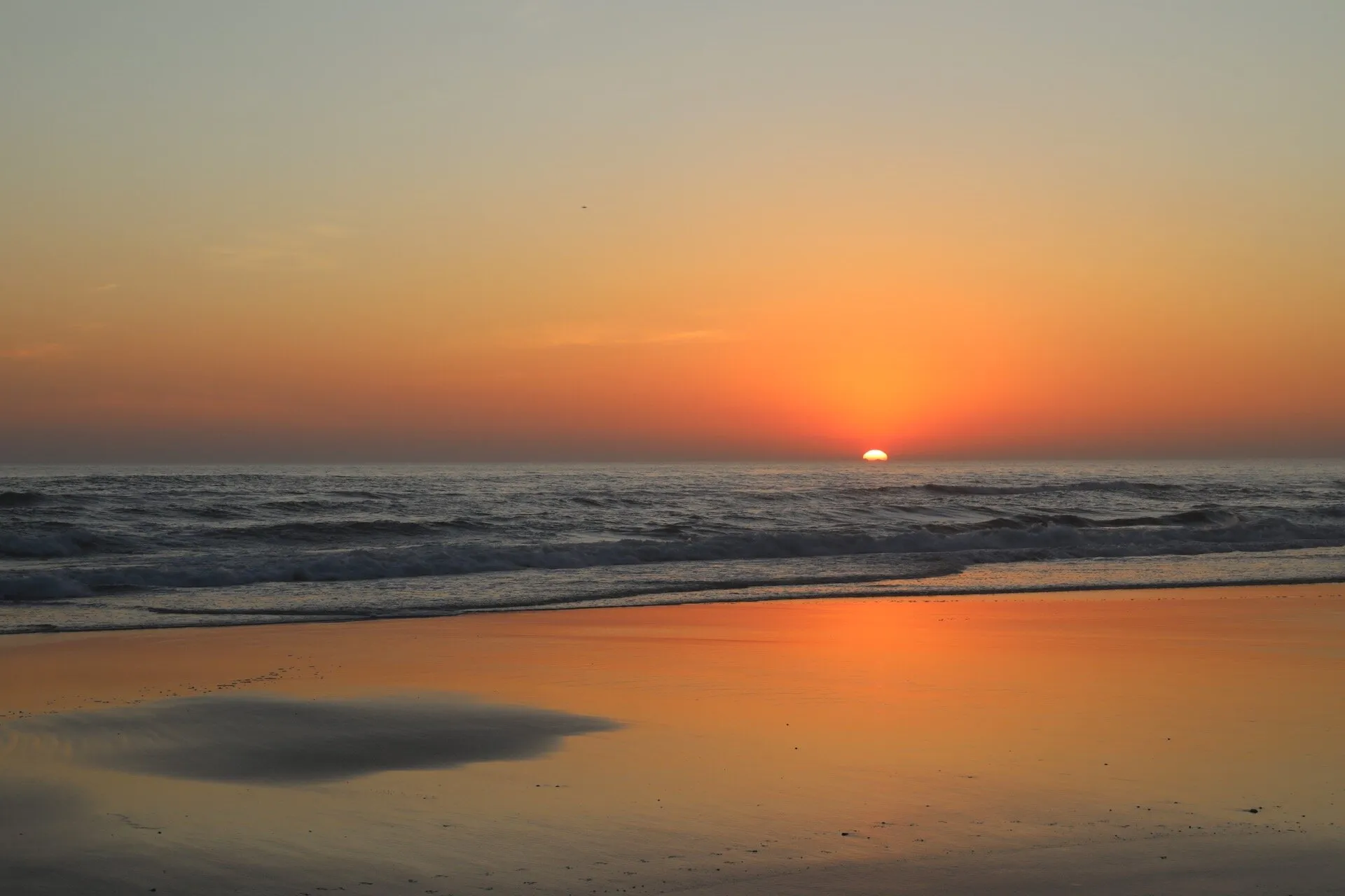 Golden Sunrise