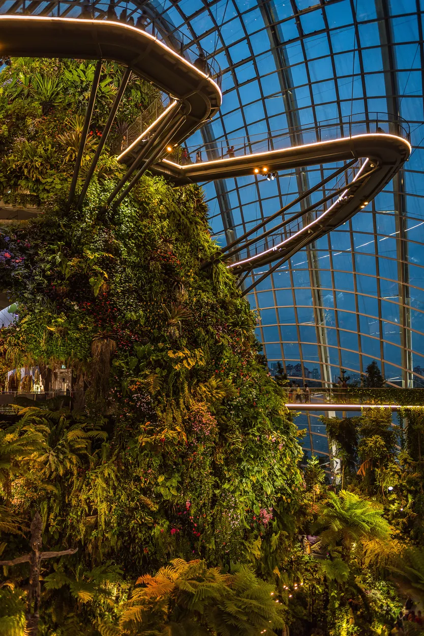 Entry 13833919