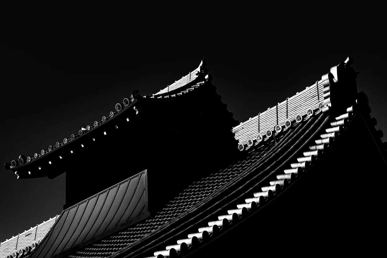 Entry 6059177
