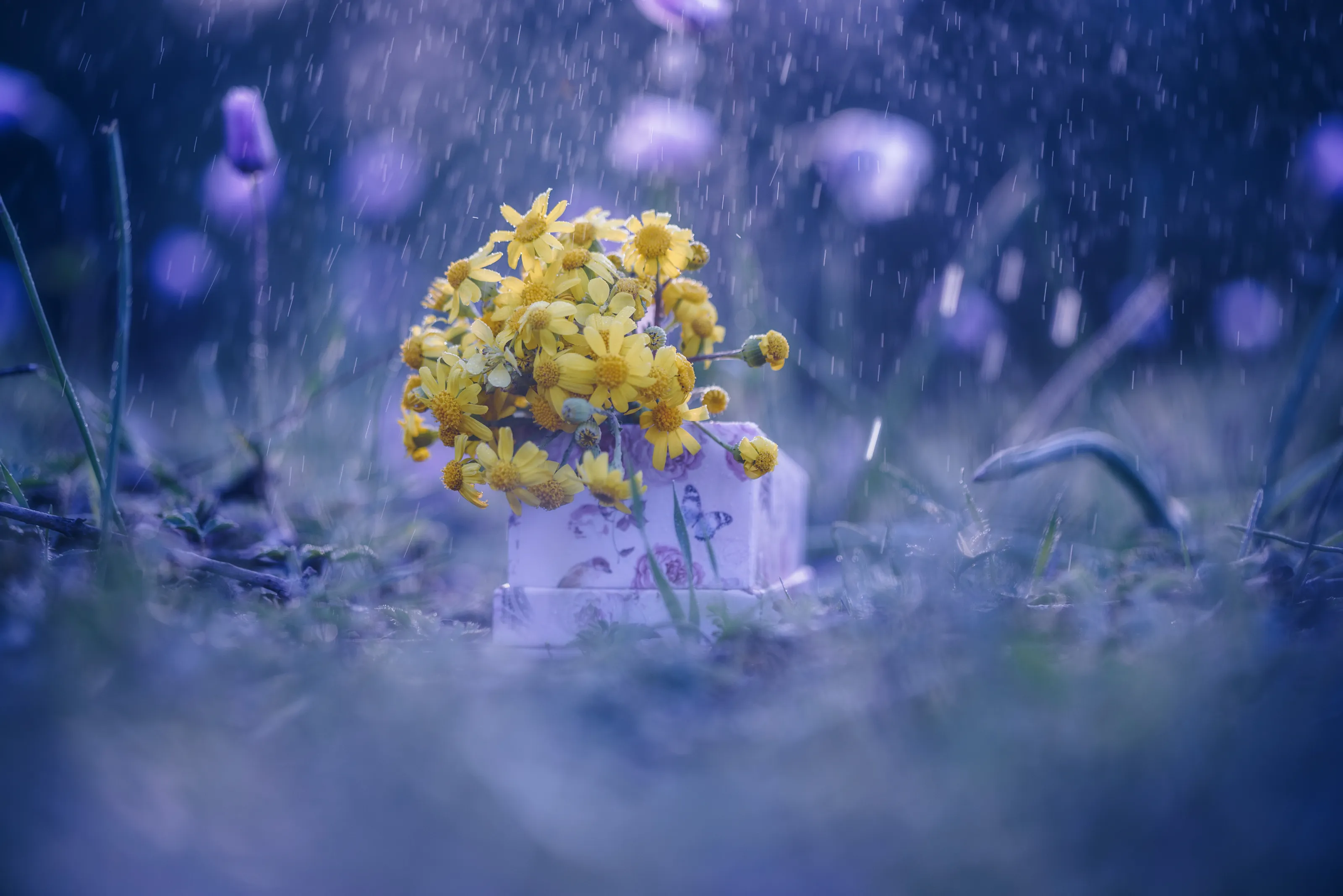 Under the rain