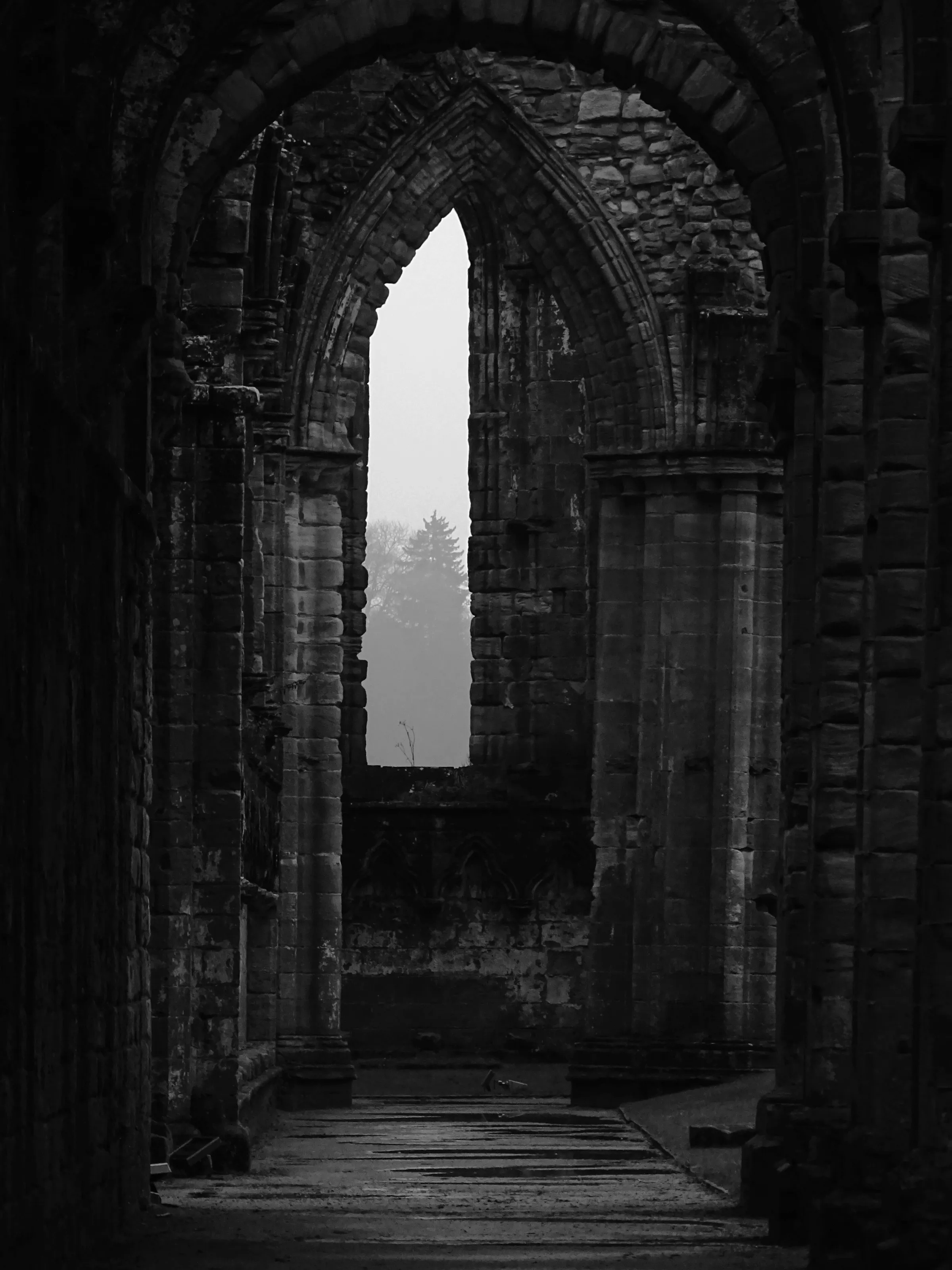 Into the Ruins