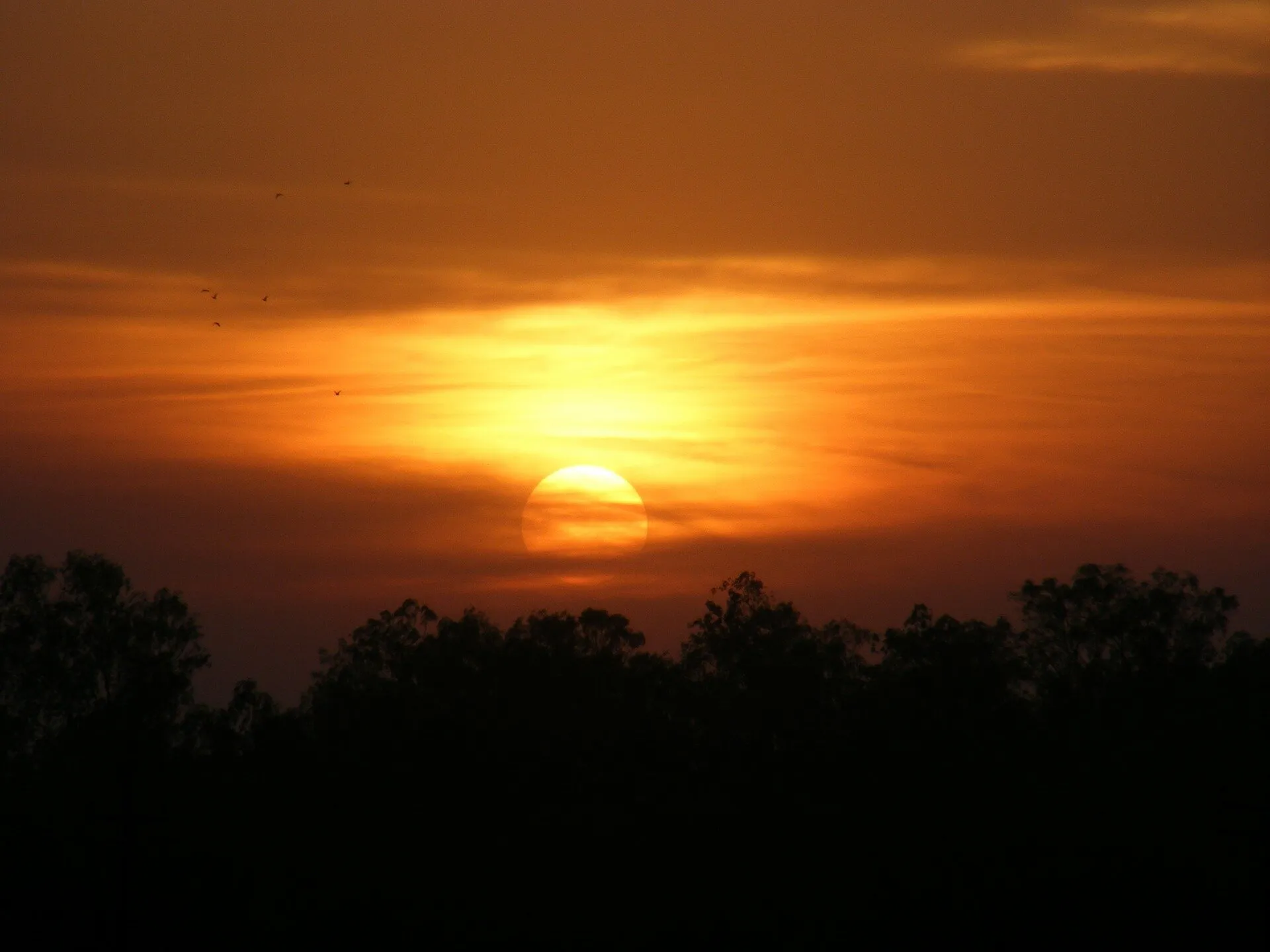 The Golden Sunset