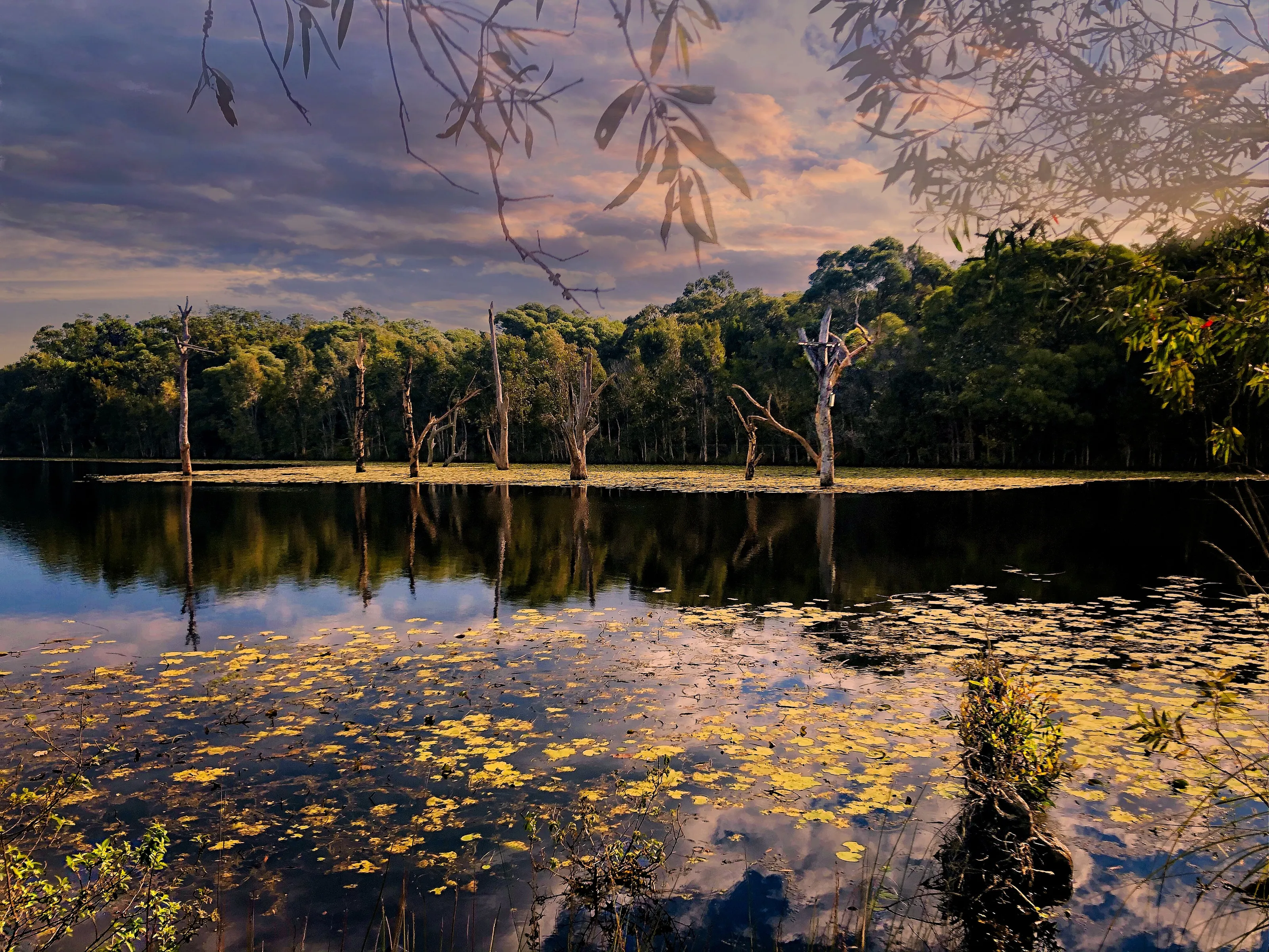 Ningi lake