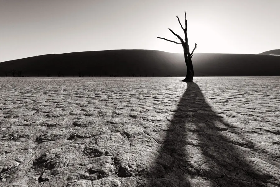 Light and Shadow