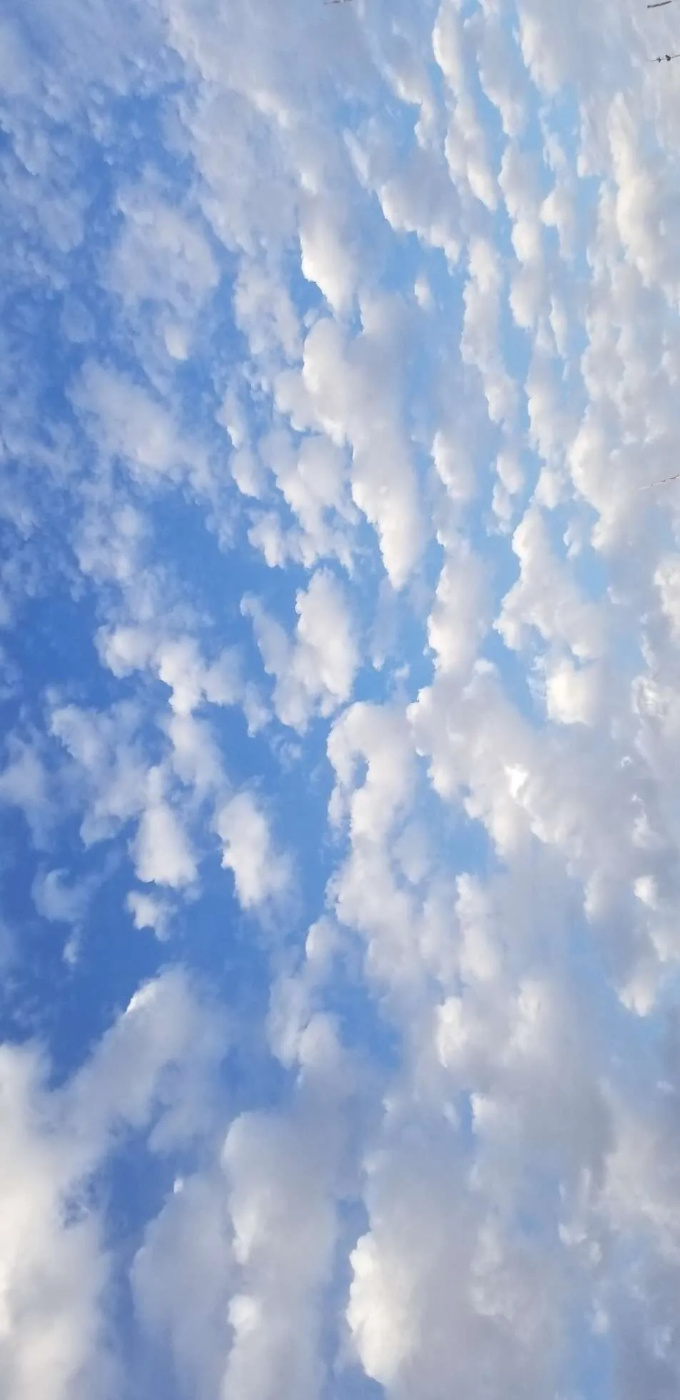 Blue Sky