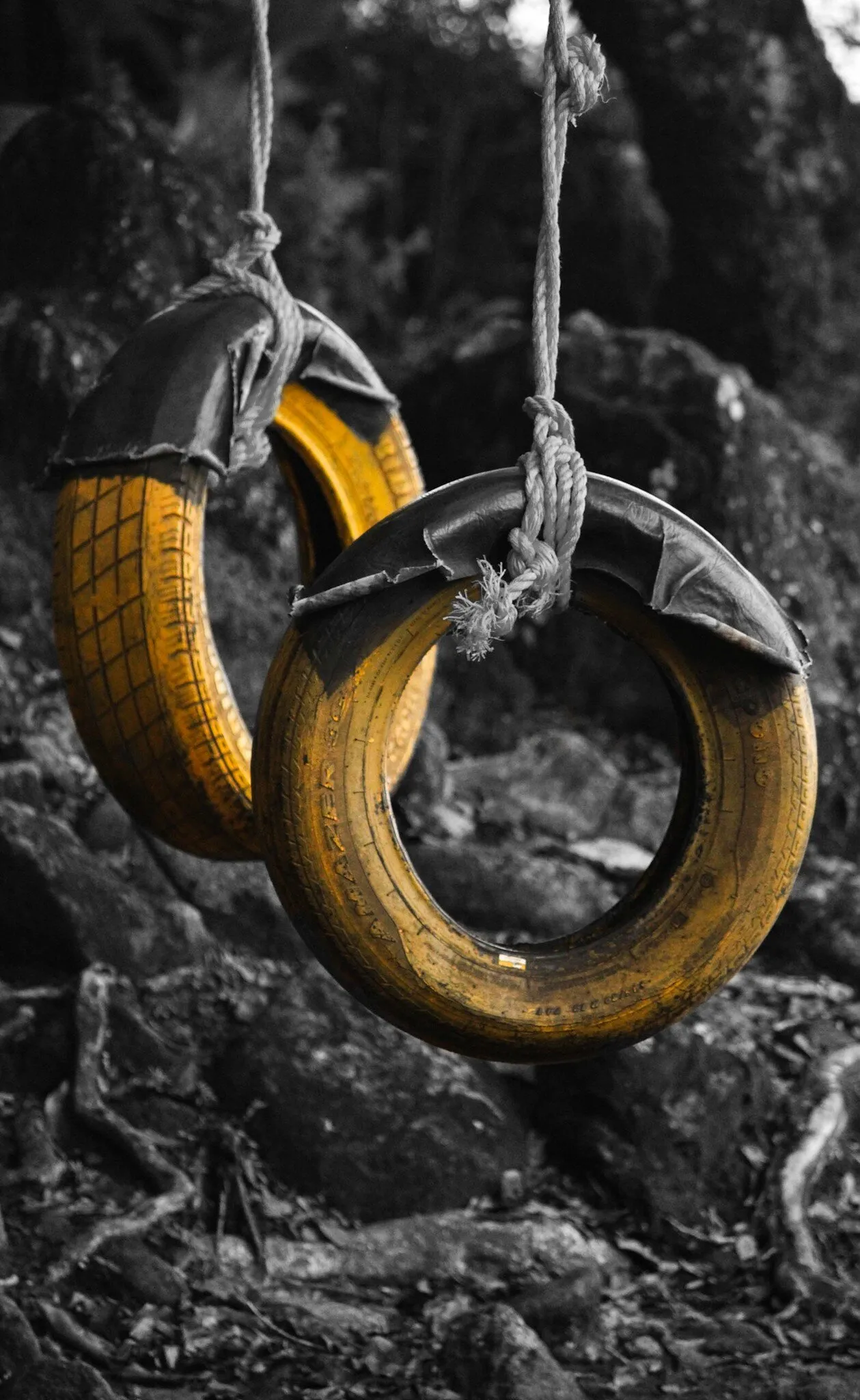 Yellow circles