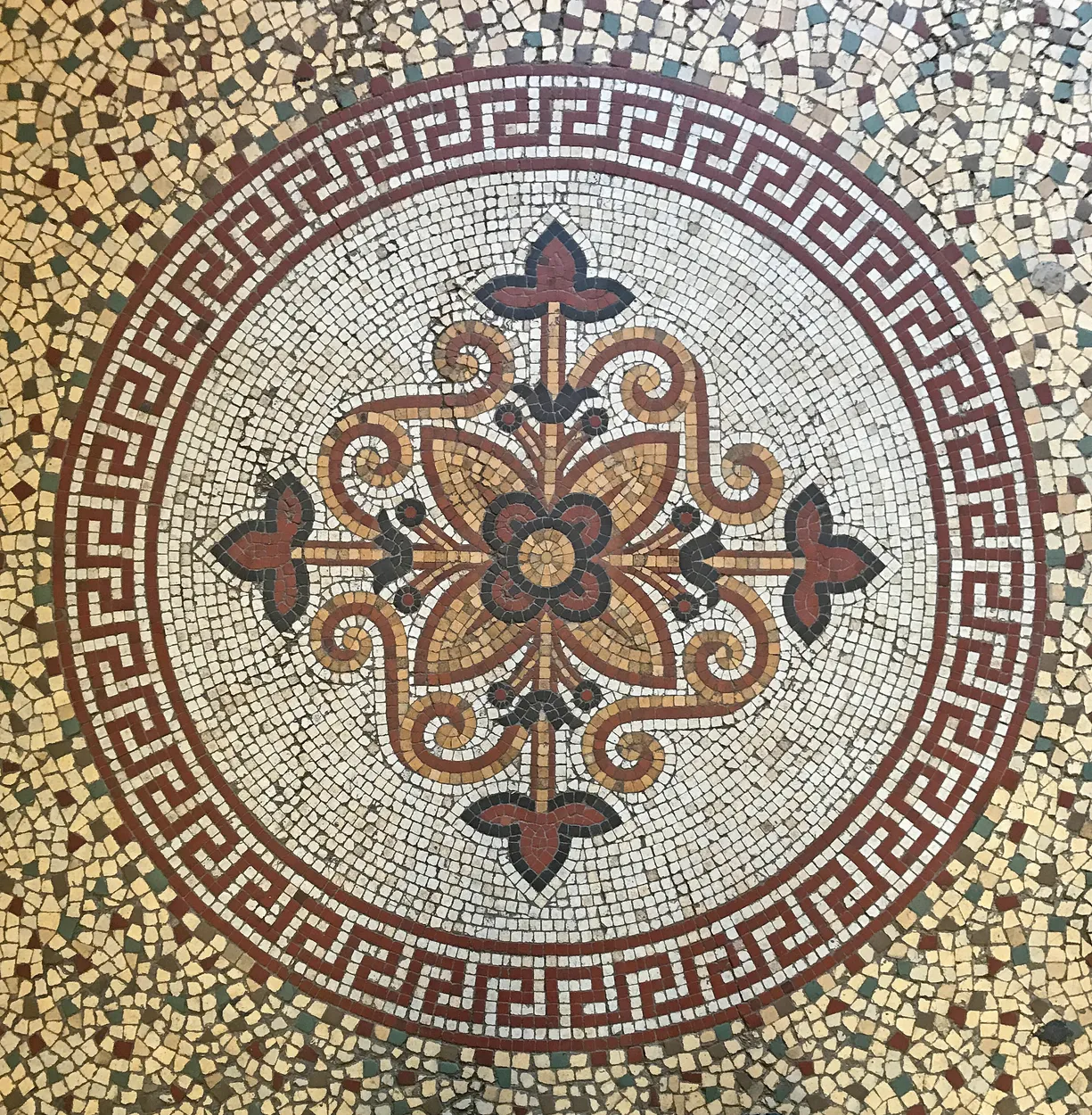Entry 6087753