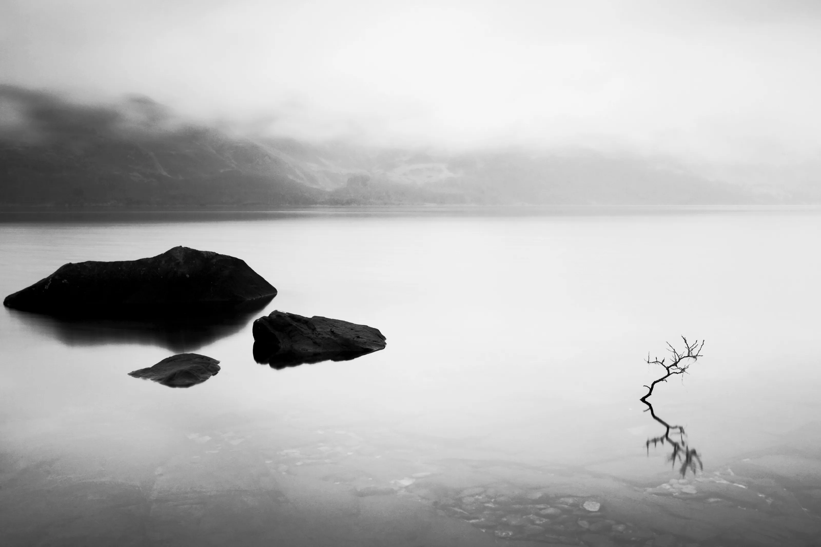 The rocks and the sapling in the loch