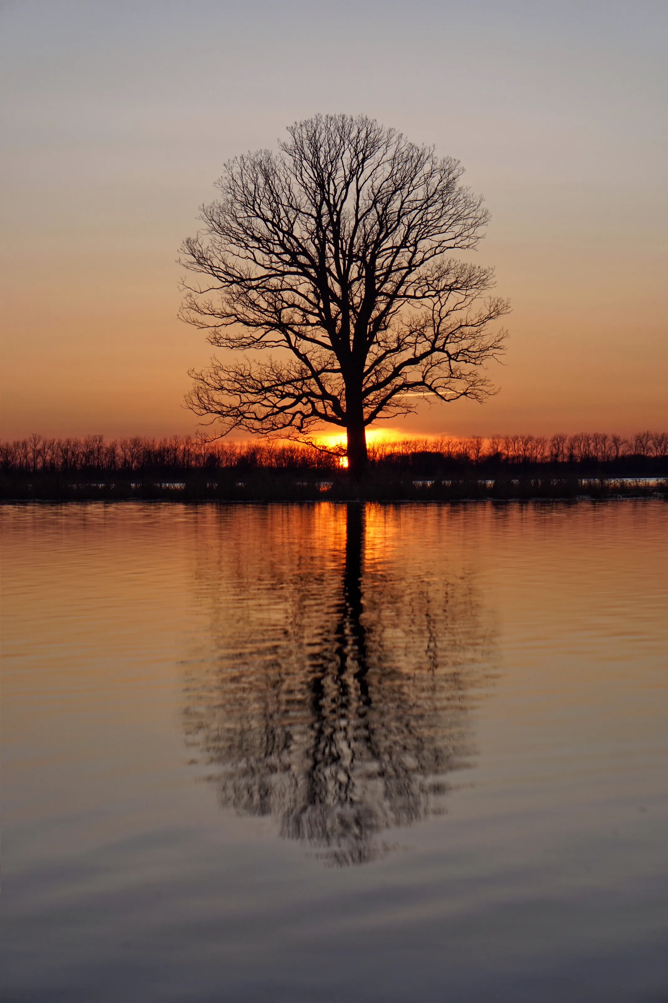 Shiawassee Wildlife Nature Refuge