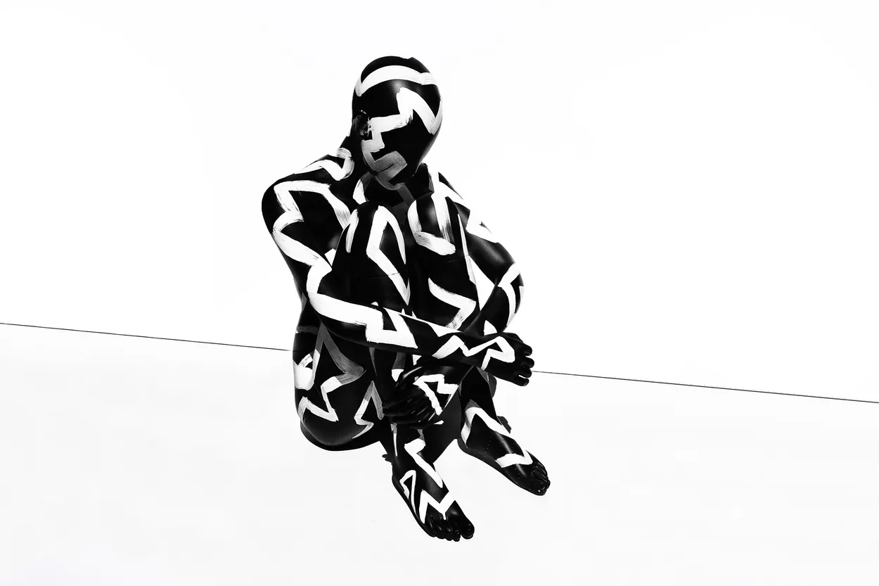 Entry 6091355