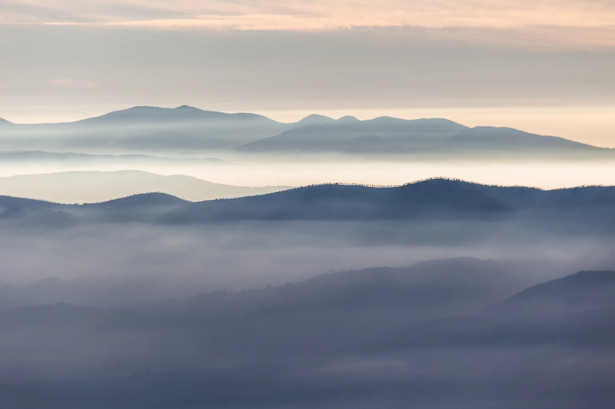 Layers
