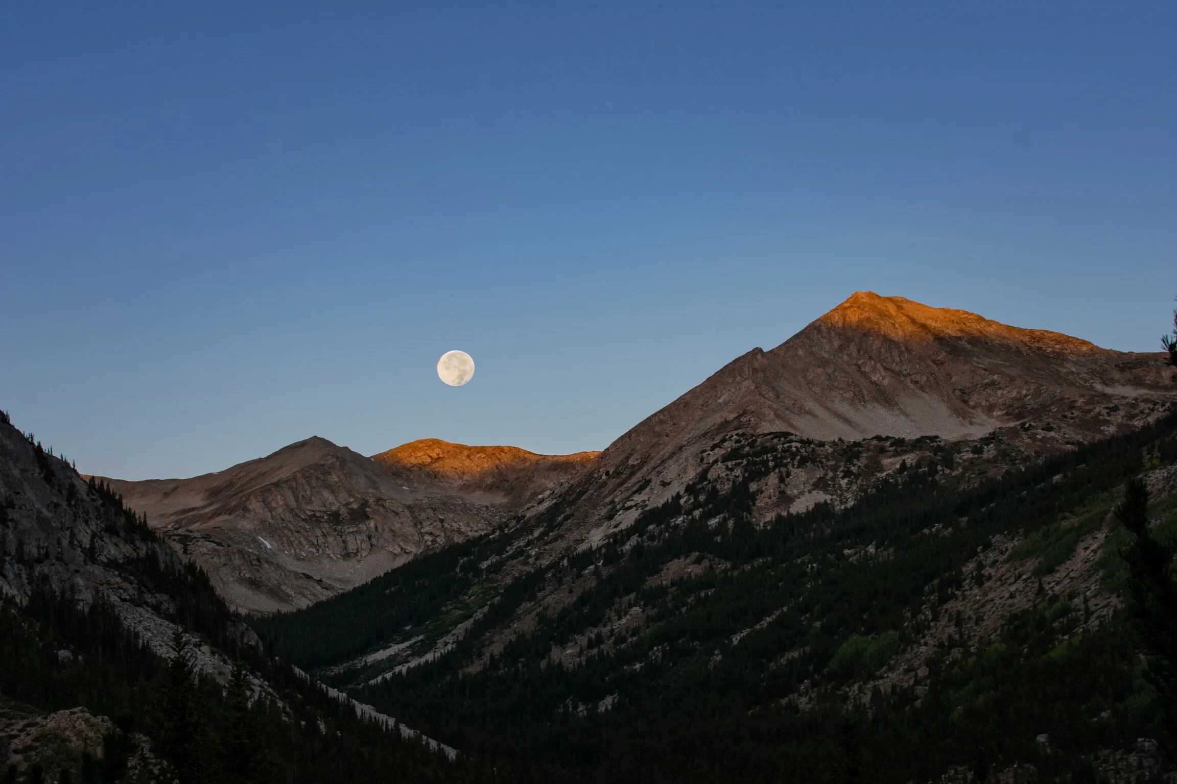 Moonfall