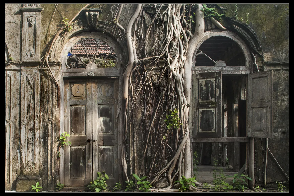 Entry 6101679