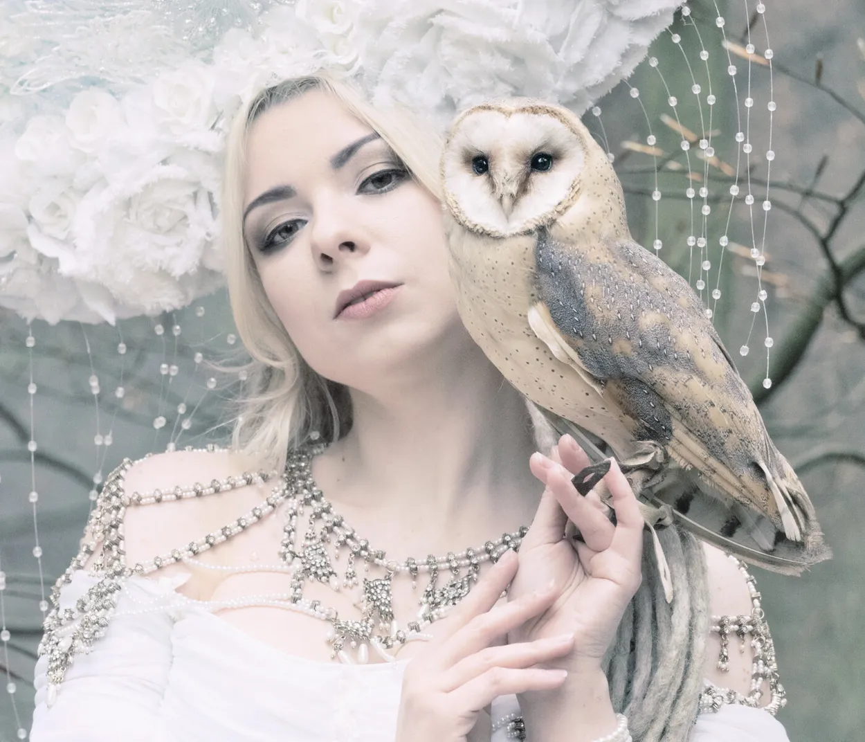 Entry 7615686