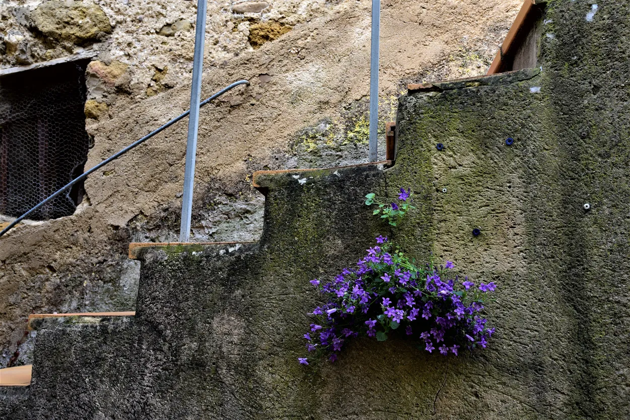 Entry 6115023