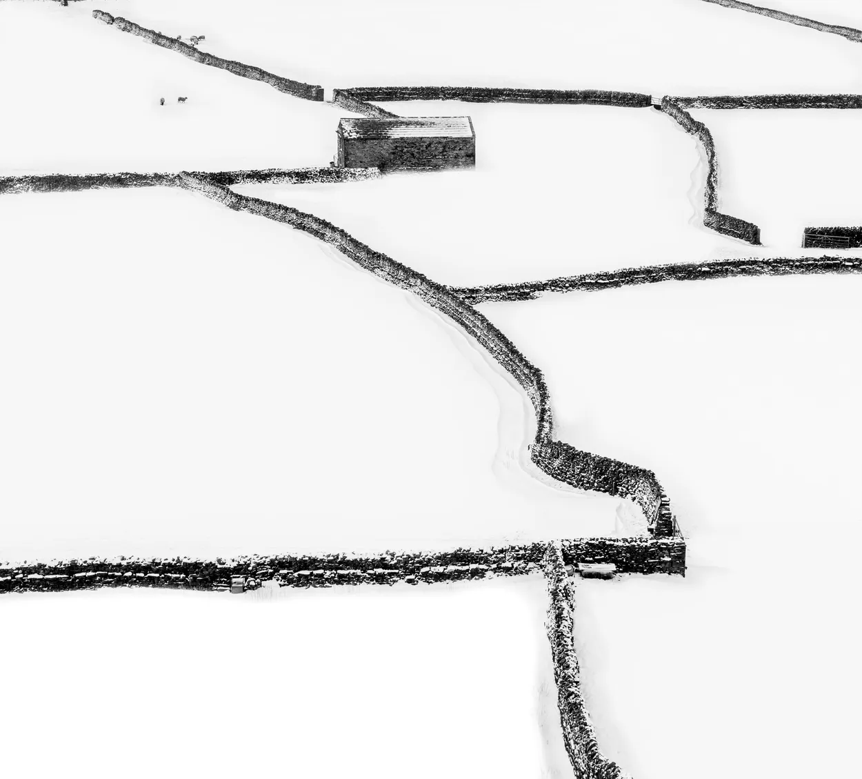 Walls