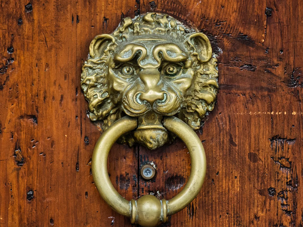 Entry 18992426