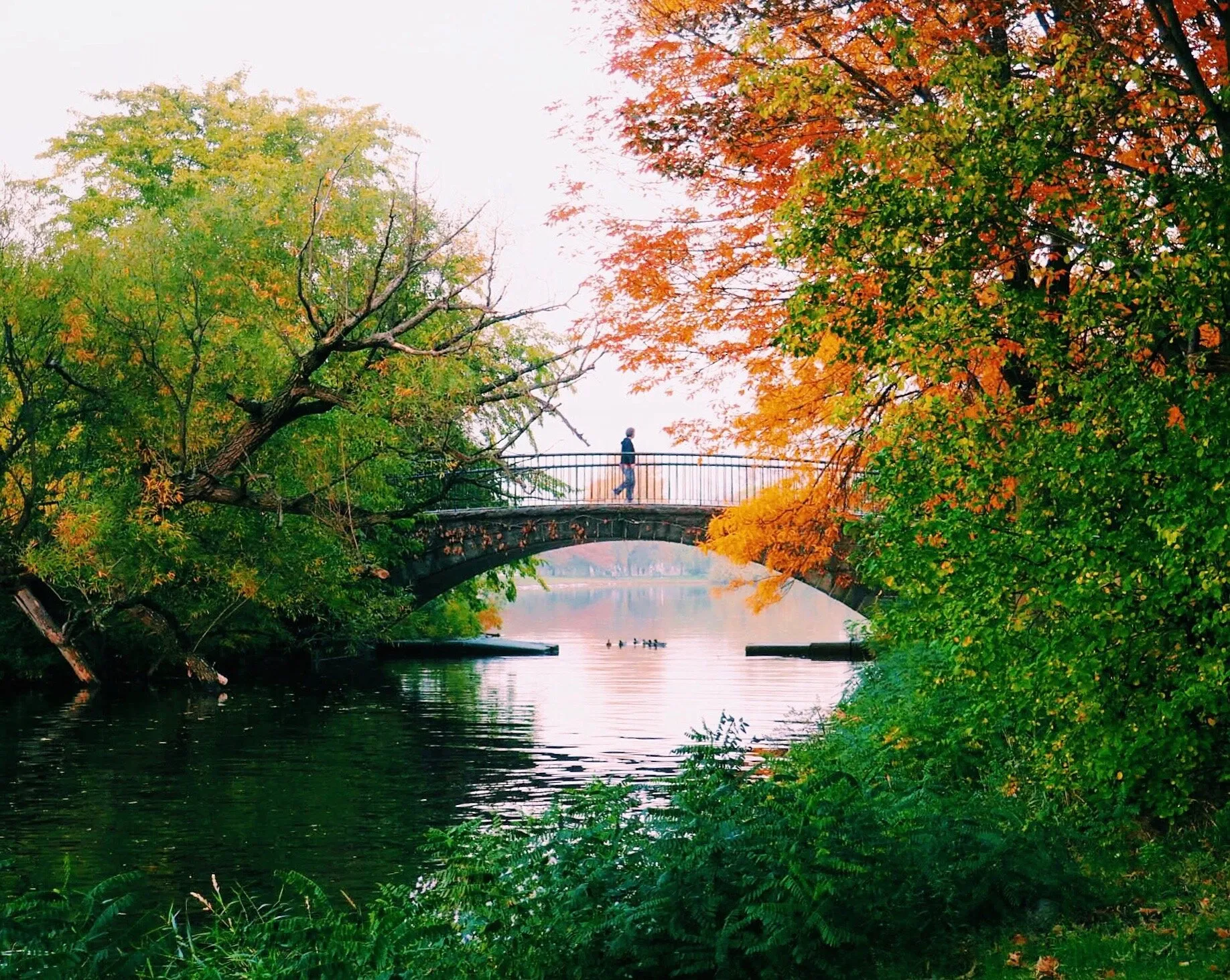 Bridge Over Mirrored Waters